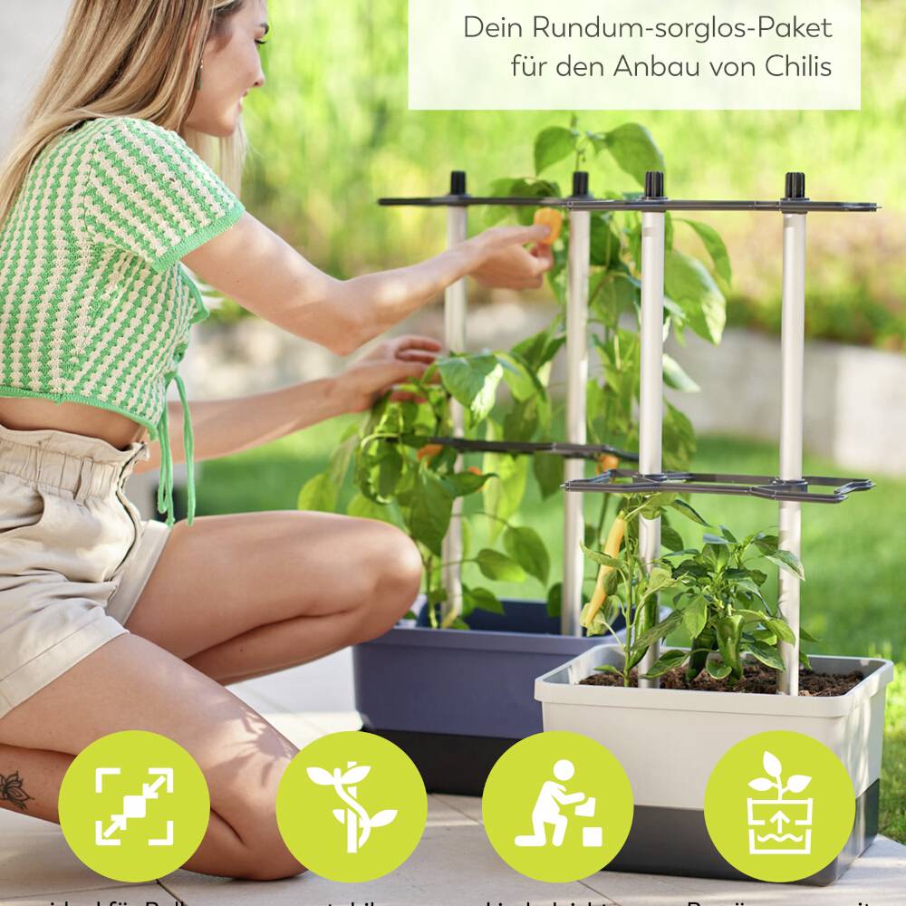 Eine Frau pflegt Chilipflanzen auf einem Balkon. Text: 'Dein Rundum-sorglos-Paket für den Anbau von Chilis'. Symbole für Pflanzpflege unten.
