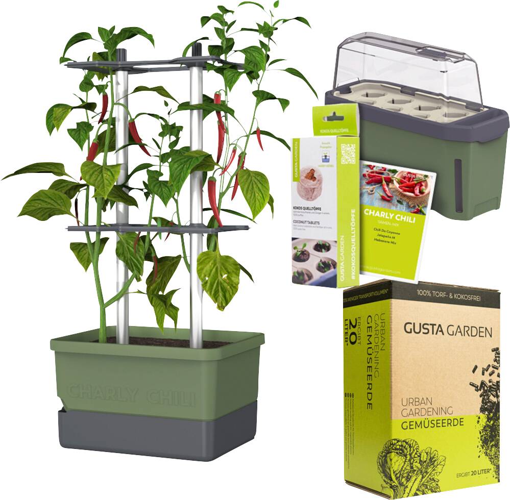 Hydroponisches Set mit Behälter, 3 Pflanzen mit Anzuchtgestell, Chilis, Anzuchttabletten und Gemüsesubstrat, geeignet für den Innenanbau.