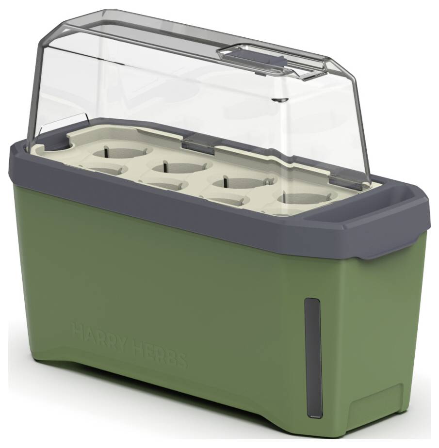 Ein kleiner, grüner Mini-Gewächshausbehälter mit durchsichtigem Deckel und sechs Pflanzöffnungen, ideal für Kräuter oder kleine Pflanzen.