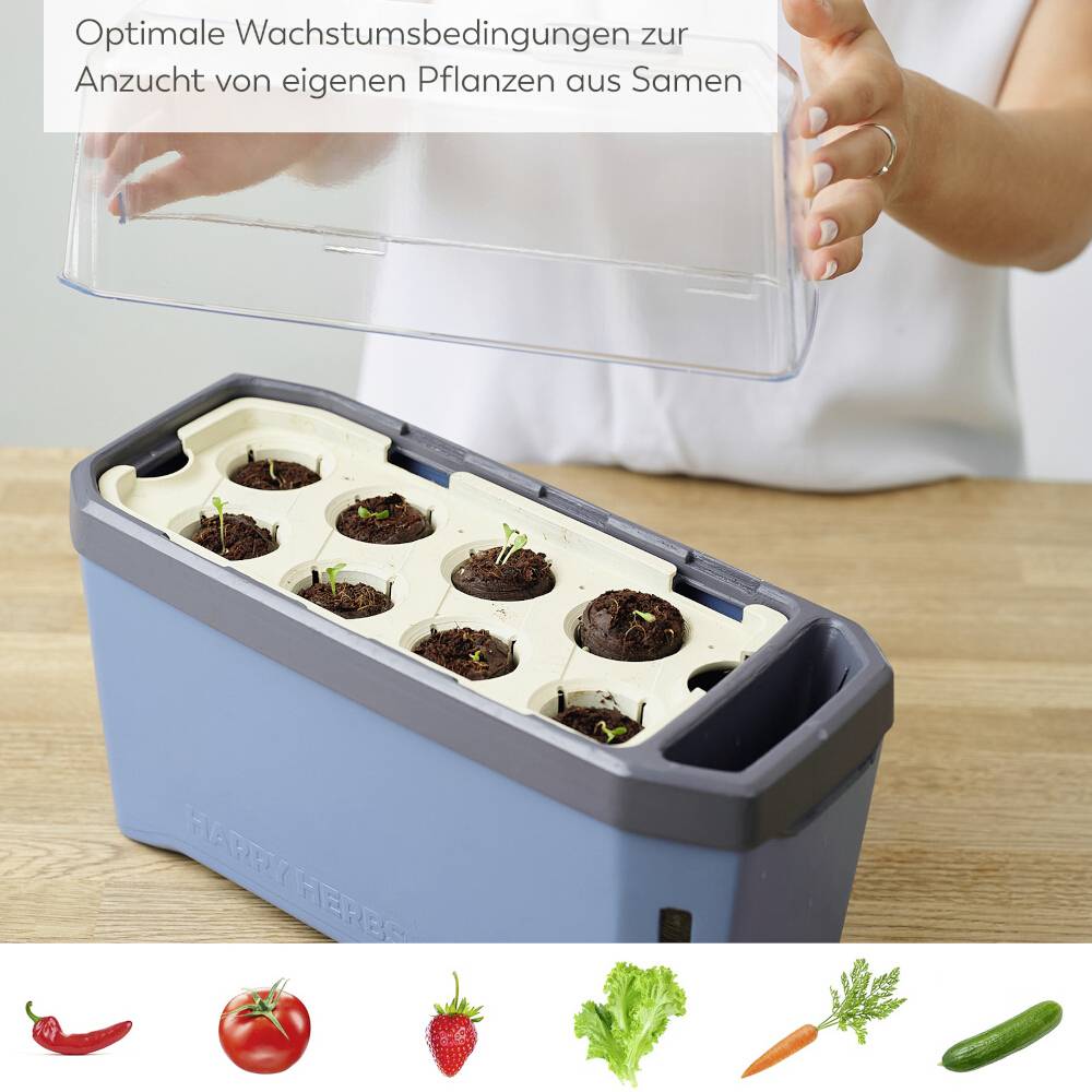 Eine Person öffnet eine Pflanzenbox mit sprießenden Samen unter der Aufschrift 'Optimale Wachstumsbedingungen zum Anzucht von Pflanzen aus Samen'. Unten sind Icons von Gemüse und Obst.