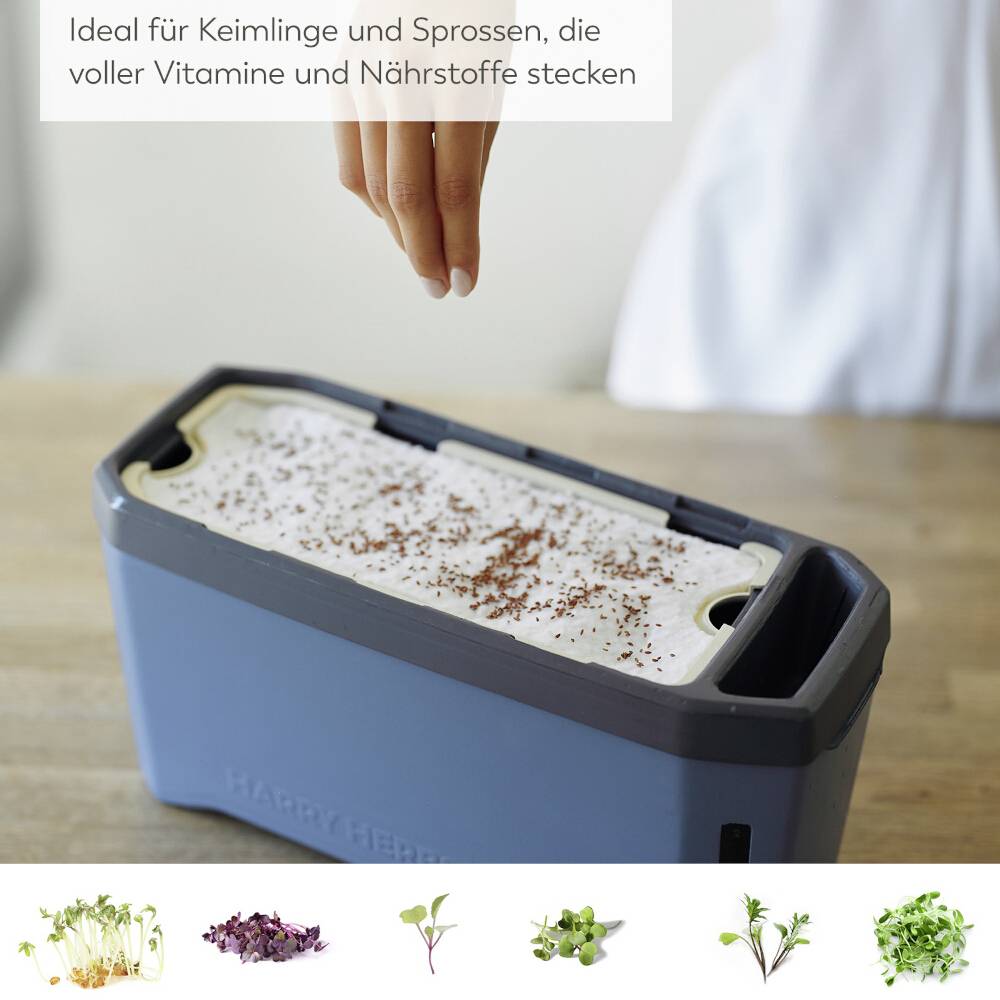Eine Keimbox mit einem Deckel voller Samen wird auf einem Tisch präsentiert. Oben steht: 'Ideal für Keimlinge und Sprossen, die voller Vitamine und Nährstoffe stecken'.