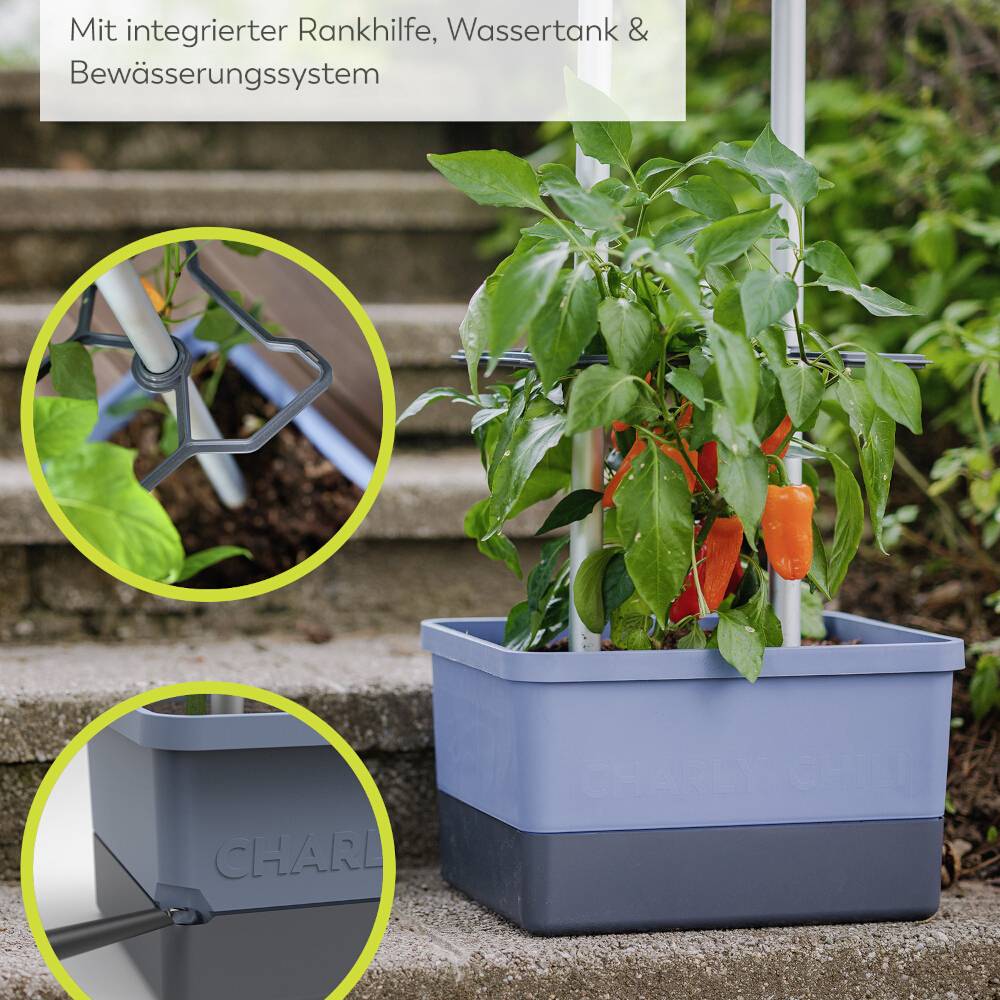 Pflanzbehälter mit Pflanzen, Rankhilfe, Wassertank und Bewässerungssystem. Umgeben von Erde und Treppenstufen im Hintergrund.