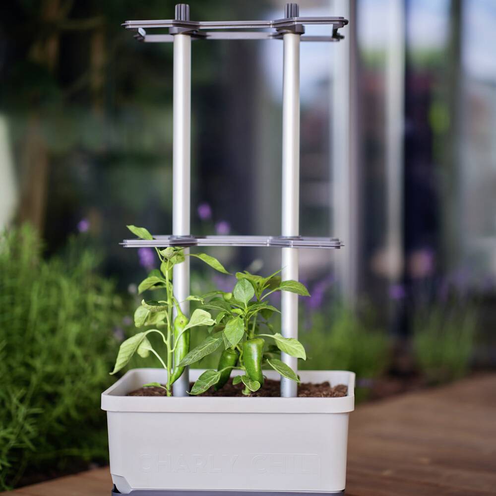 Ein kleiner Pflanzenbehälter mit zwei wachsenden Pflanzen, gestützt durch eine Metallstruktur. Hintergrund unscharf, mit Pflanzen.