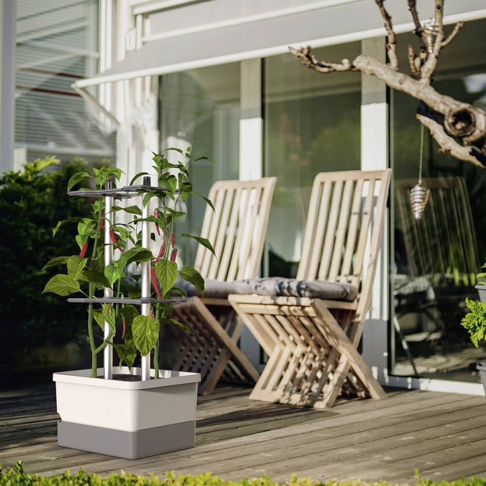 Ein kleiner Pflanztopf mit Stützgitter, darin wachsen Pflanzen. Im Hintergrund stehen zwei Holzstühle auf einer Terrasse.