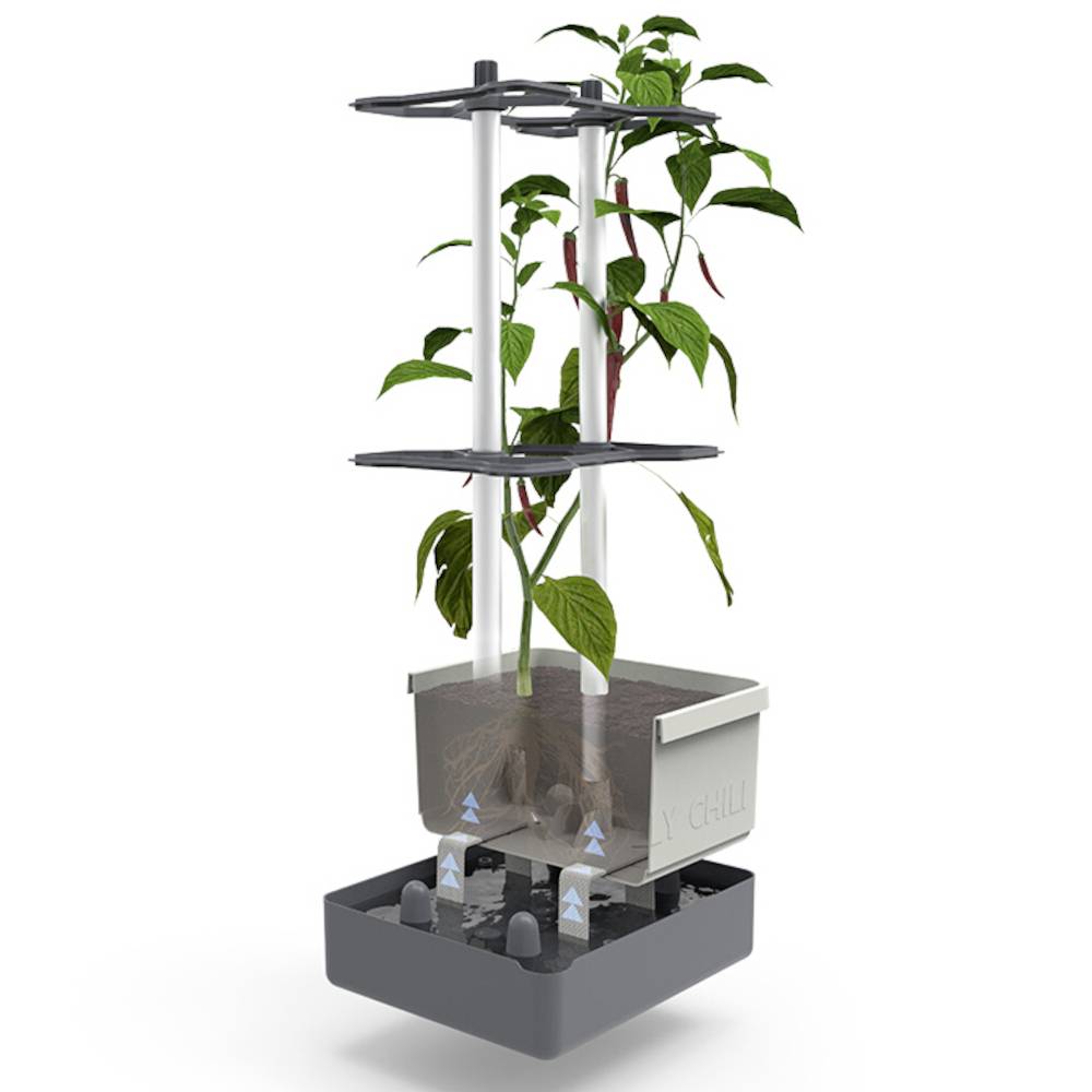 Ein Mini-Gewächshaus-Set mit einer wachsenden Pflanze. Das System zeigt Etagen, durch die die Pflanze wächst, illustriert Wachstumsschritte und Belüftung.