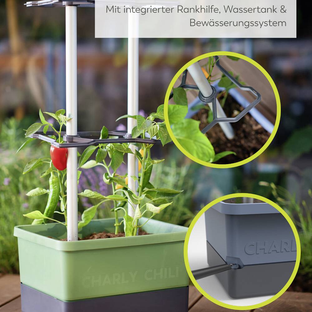 Ein Pflanzenbehälter mit integrierter Rankhilfe, Wassertank und Bewässerungssystem. Eine Chilischote wächst an der Pflanze.