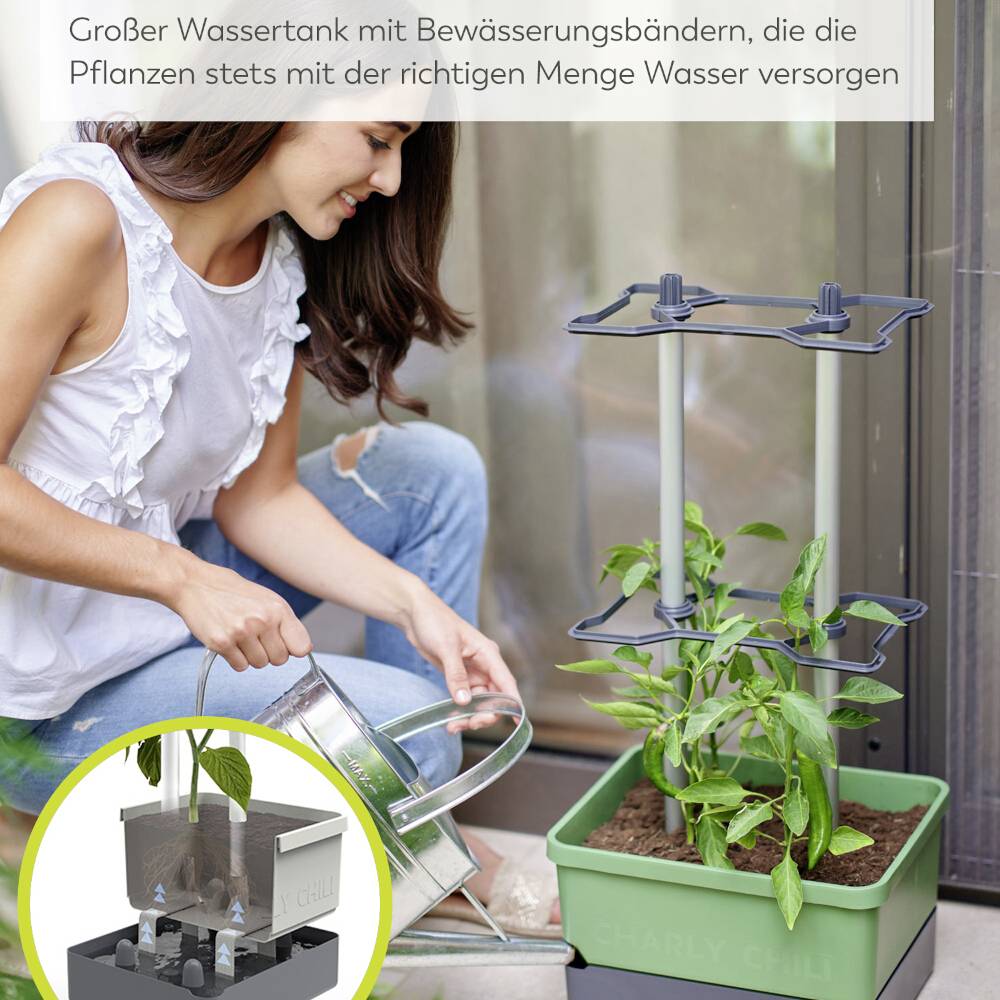 Frau gießt junge Pflanze in Topf mit Gießkanne. Automatisches Bewässerungssystem sorgt für optimale Wassermenge in Hochbeet.