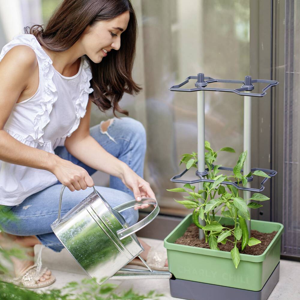 Eine Frau gießt eine junge Pflanze in einem Topf auf einem Balkon. Sie benutzt eine silberne Gießkanne.