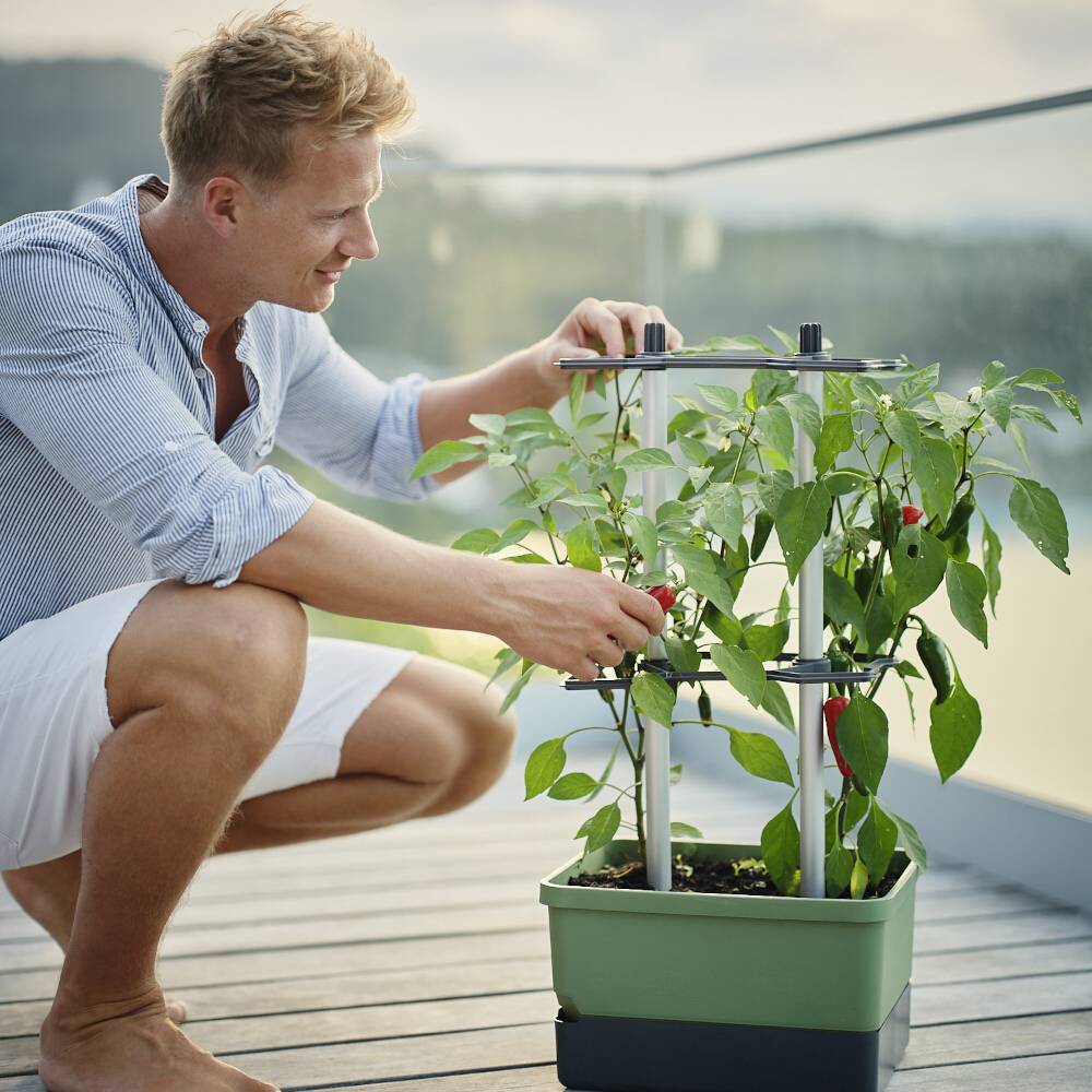 Eine Person gießt eine Pflanze in einem Topf auf einer Terrasse. Die Pflanze trägt rote Früchte. Im Hintergrund ist eine Landschaft sichtbar.
