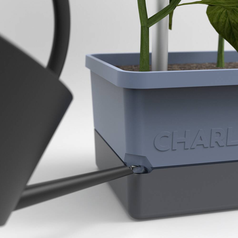 Gießkanne bewässert eine Topfpflanze. Der Topf ist blau und trägt den Schriftzug 'CHARLY', Pflanzenstängel und Erde sichtbar.