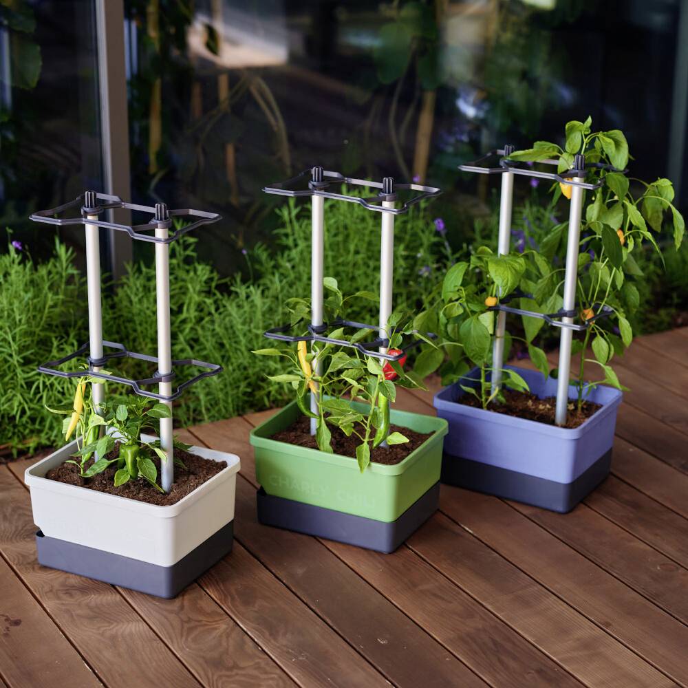 Drei Pflanzkästen mit grünen Pflanzen, gestützt von Rankgittern, stehen auf einer Holzterrasse vor einem Hintergrund aus grünen Sträuchern.