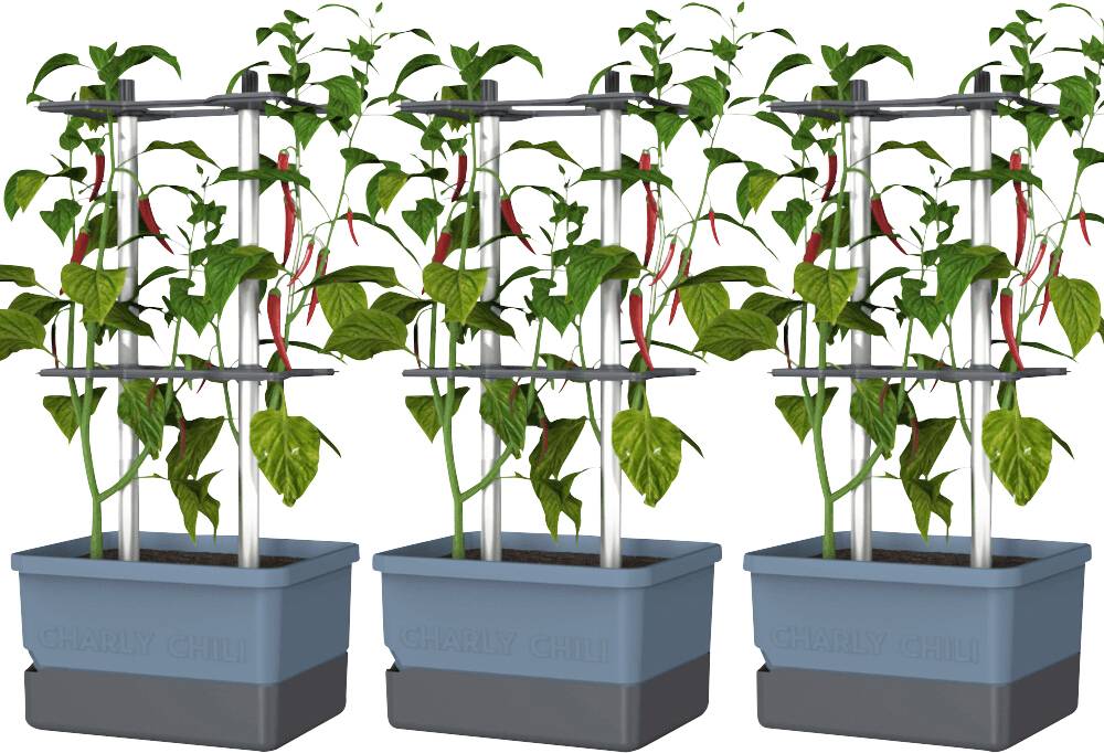 Gusta Garden CHARLY CHILI 3er-Set blau / W07078Pflanzgefäß