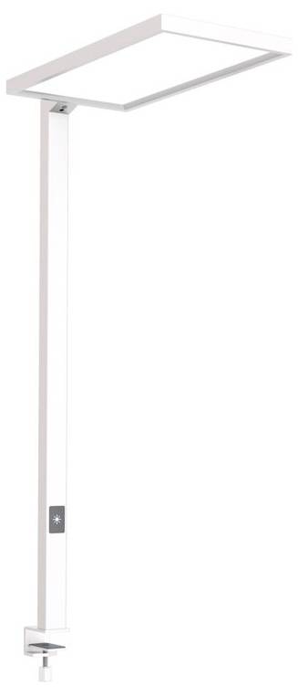 Weißer rechteckiger Decken-Duschkopf mit verstellbarer Wandhalterung und modernem Design.