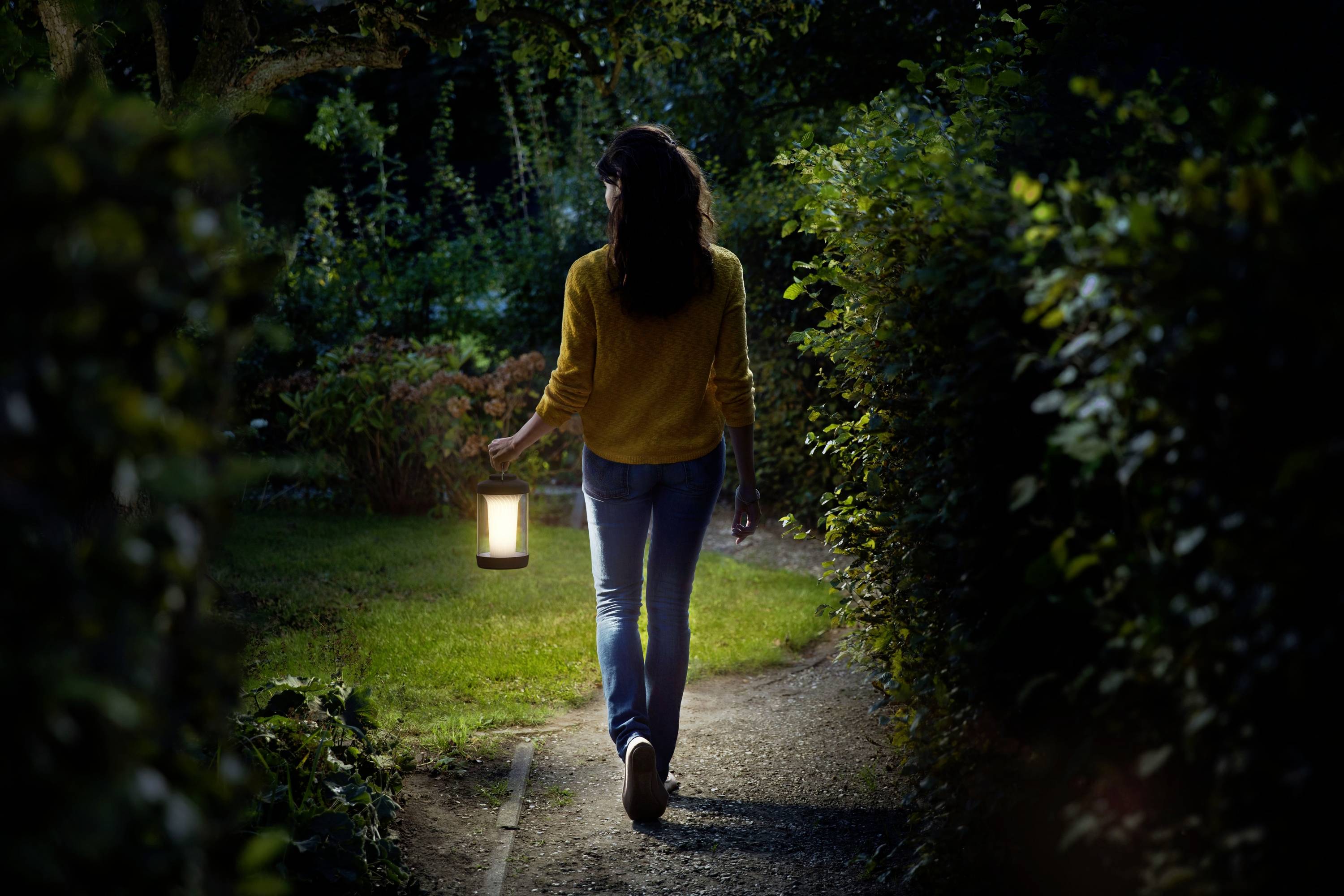 Philips LED 8719514443730 Cicero DSK260 LED-Akku-Tischlampe 6W Weiß, Schwarz