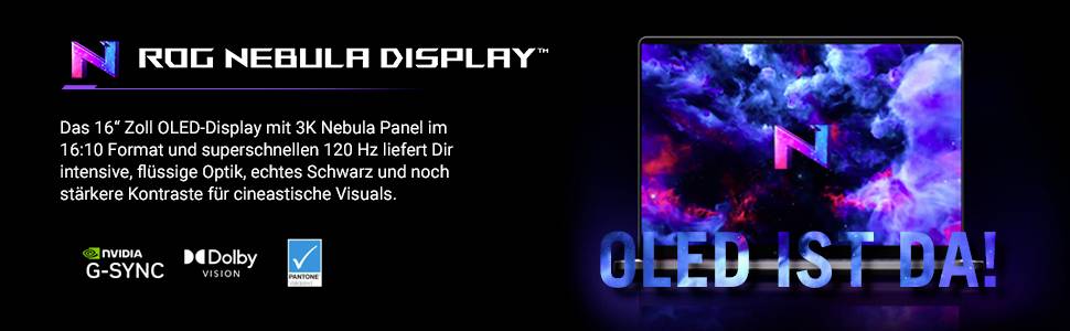 Asus Notebook ROG Zephyrus G14 35.6 cm (14 Zoll) WQXGA+ AMD Ryzen 9 270 8 GB RAM 1 TB SSD Deutsch, QWERTZ NVIDIA GeForce RTX 5060 GDDR7 Grau 90