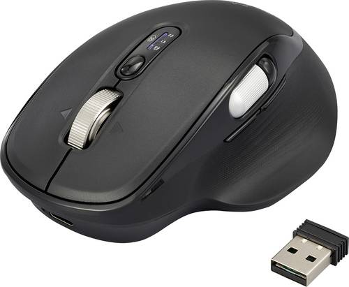 Renkforce RF-WM-220 Maus Kabellos, Bluetooth® Größe: M/L Optisch Schwarz 11 Tasten 4800 dpi Ergono