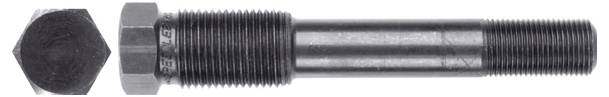Eine lange Gewindeschraube und eine passende sechseckige Mutter werden nebeneinander dargestellt, wobei die Schraube horizontal positioniert ist.