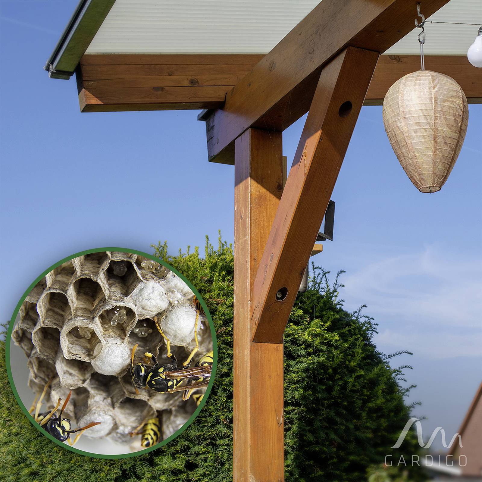 Gardigo Wespenfrei Abschreckung Wespennest-Attrappe (B x H x T) 200 x 300 x 200mm 1St.