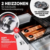 Profi Cook PC-GG 1309 Gas Gas-Grill 2 Brenner Silber Profi Cook PC-GG 1309 Gas Gas-Grill 2 Brenner Silber