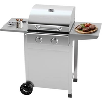Profi Cook PC-GG 1309 Gas Gas-Grill 2 Brenner Silber Profi Cook PC-GG 1309 Gas Gas-Grill 2 Brenner Silber