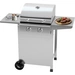 Profi Cook PC-GG 1309 Gas Gas-Grill 2 Brenner Silber Profi Cook PC-GG 1309 Gas Gas-Grill 2 Brenner Silber
