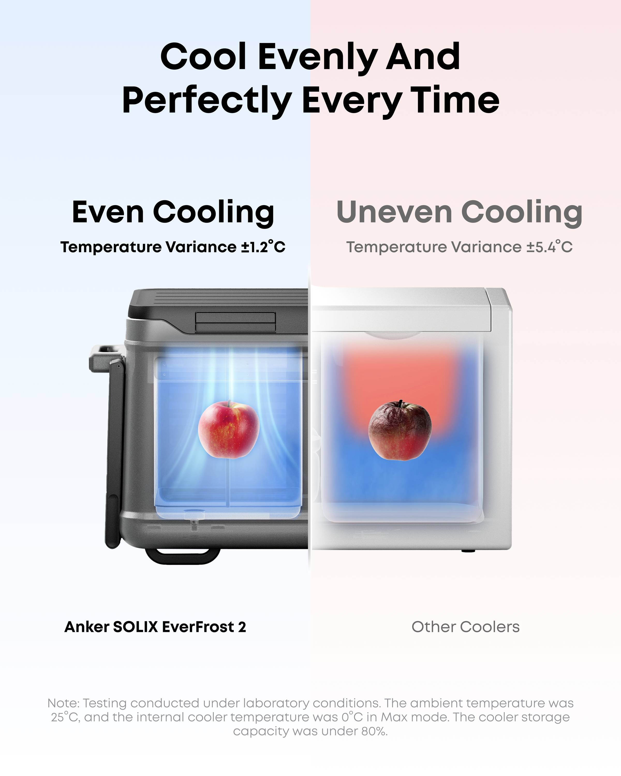 Anker SOLIX EverFrost 2 Akku-Kühlbox EEK: C (A - G) 58l -20°C bis 20°C