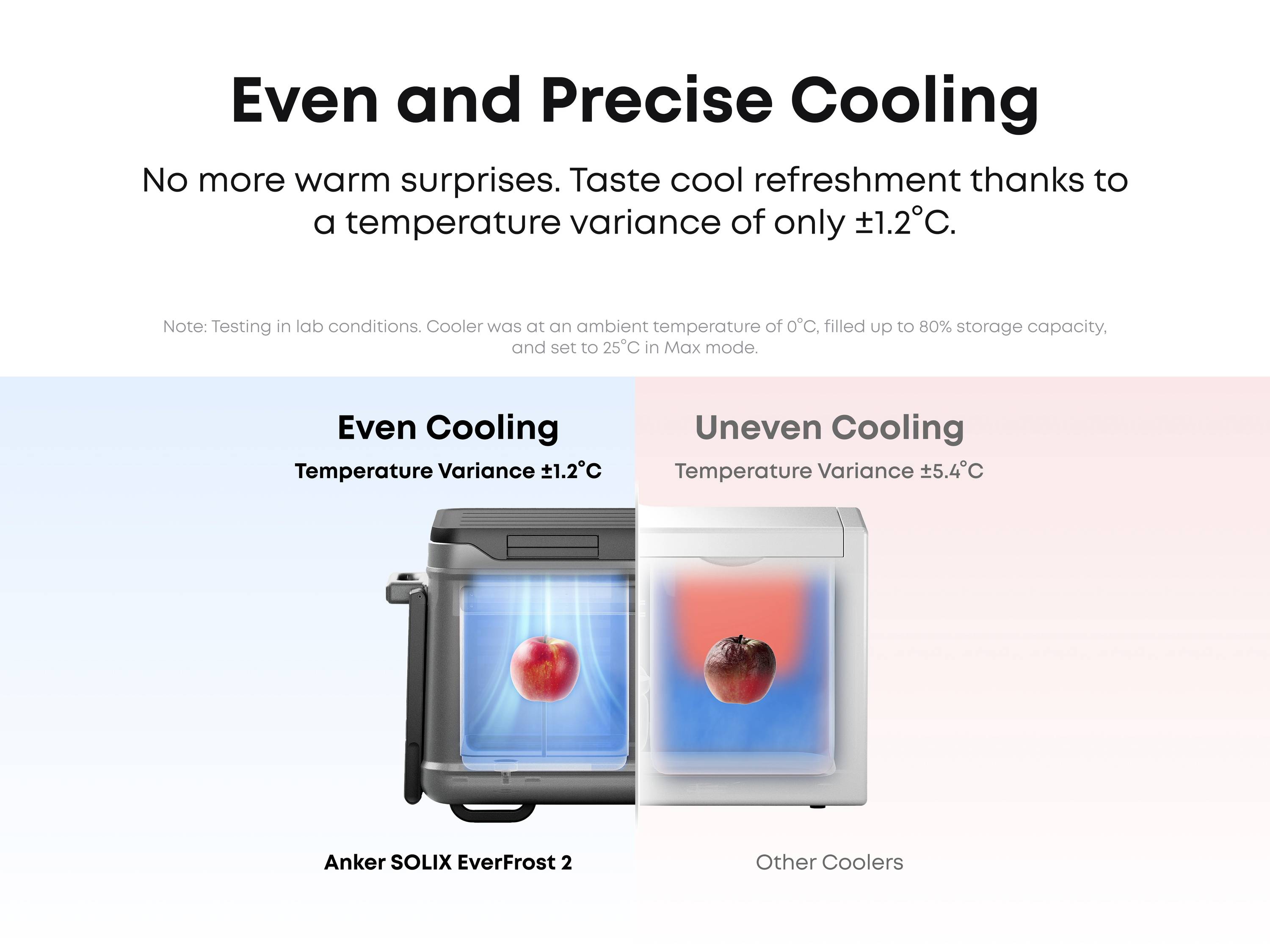 Anker SOLIX EverFrost 2 Akku-Kühlbox EEK: B (A - G) 40l -20°C bis 20°C