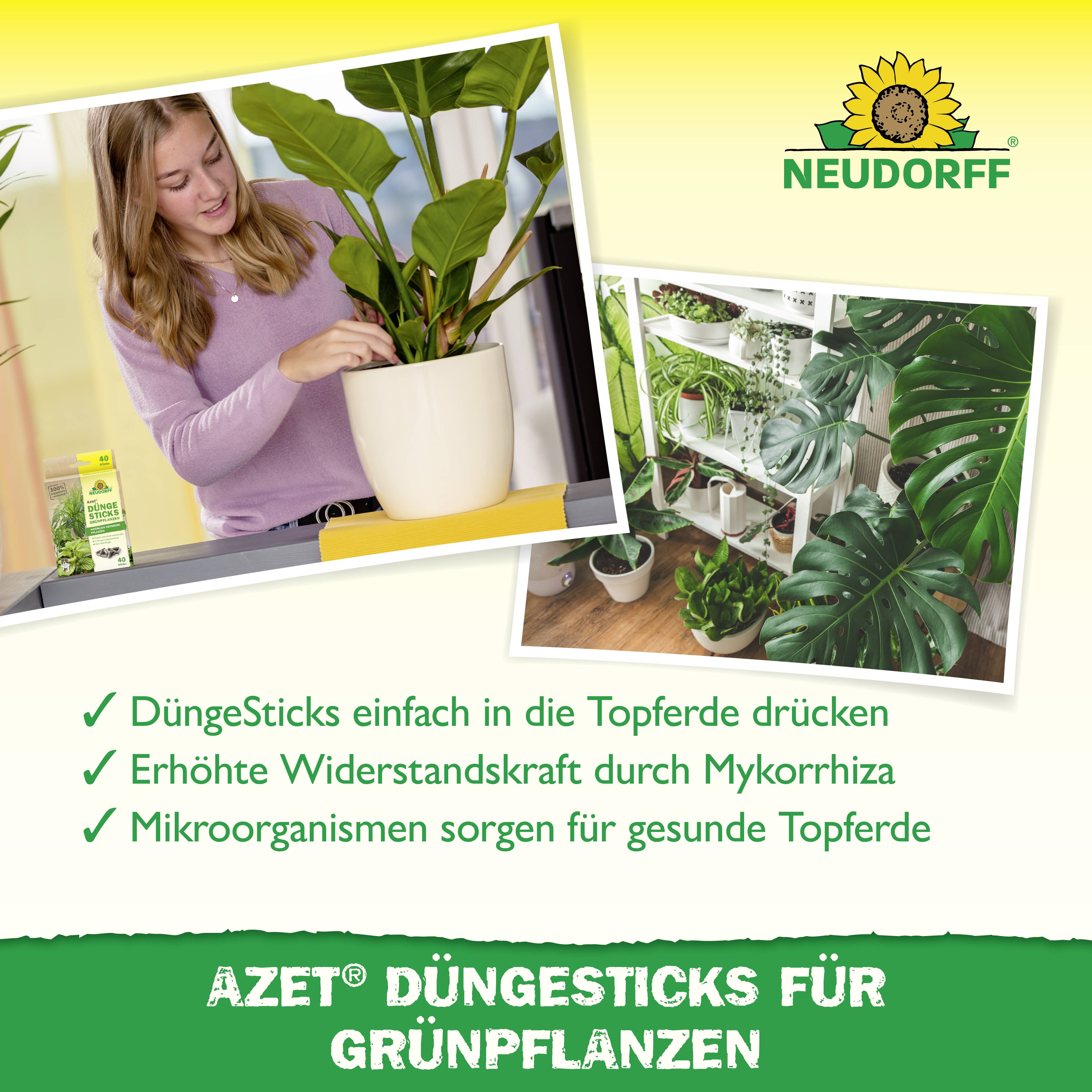 Neudorff 01418 Azet DüngeSticks für Grünpflanzen 40St.