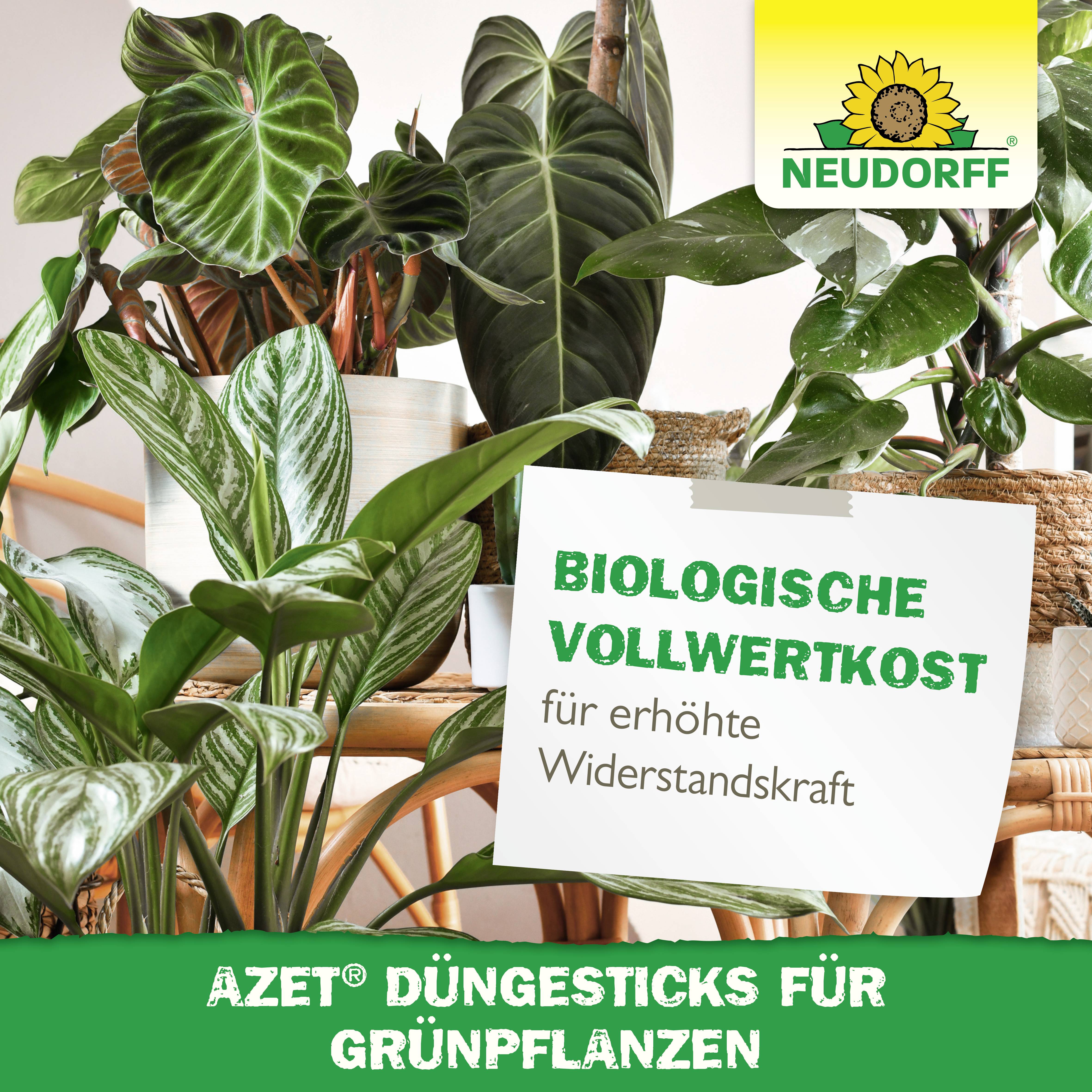 Neudorff 01418 Azet DüngeSticks für Grünpflanzen 40St.