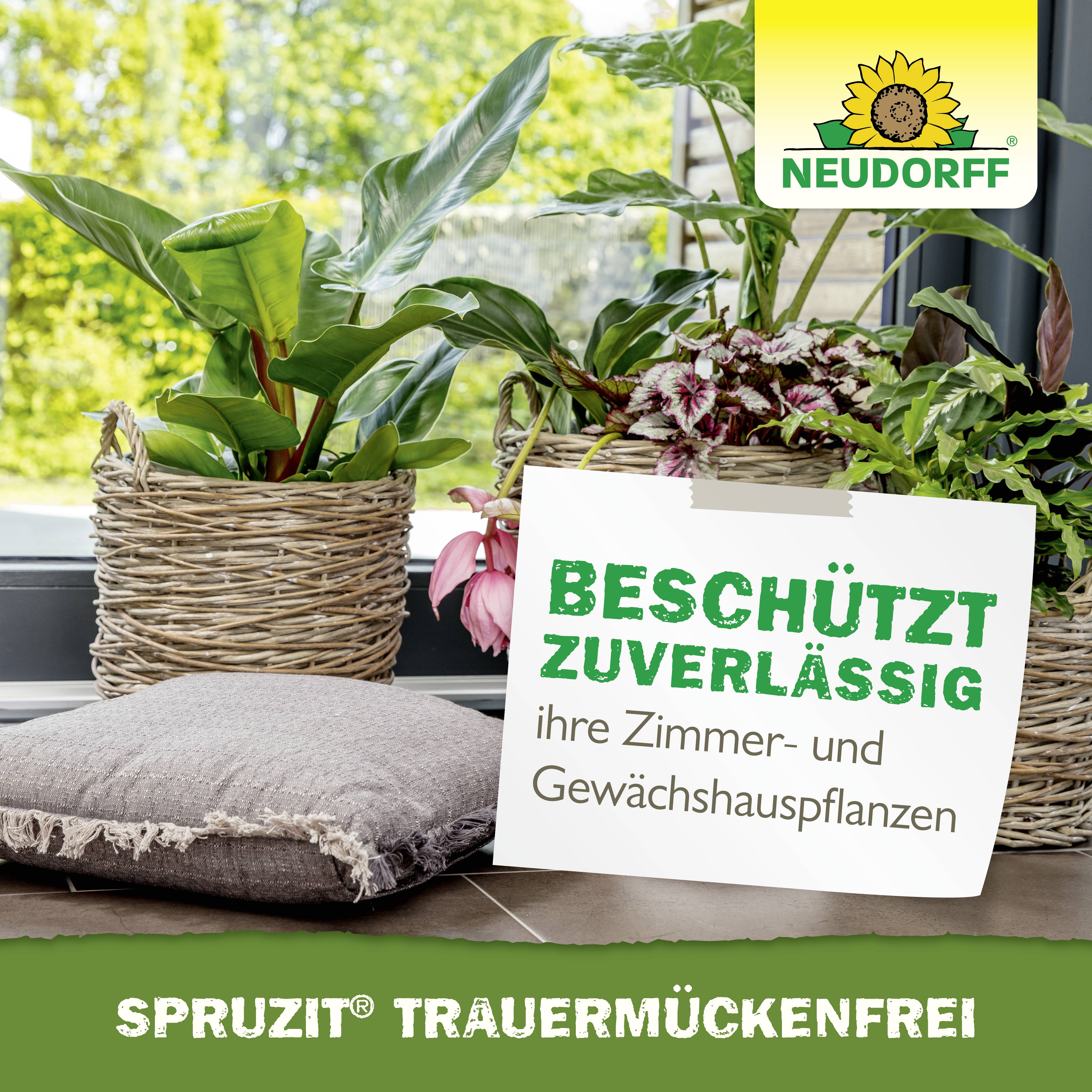 Neudorff 01345 Spruzit Trauermückenfrei 30ml