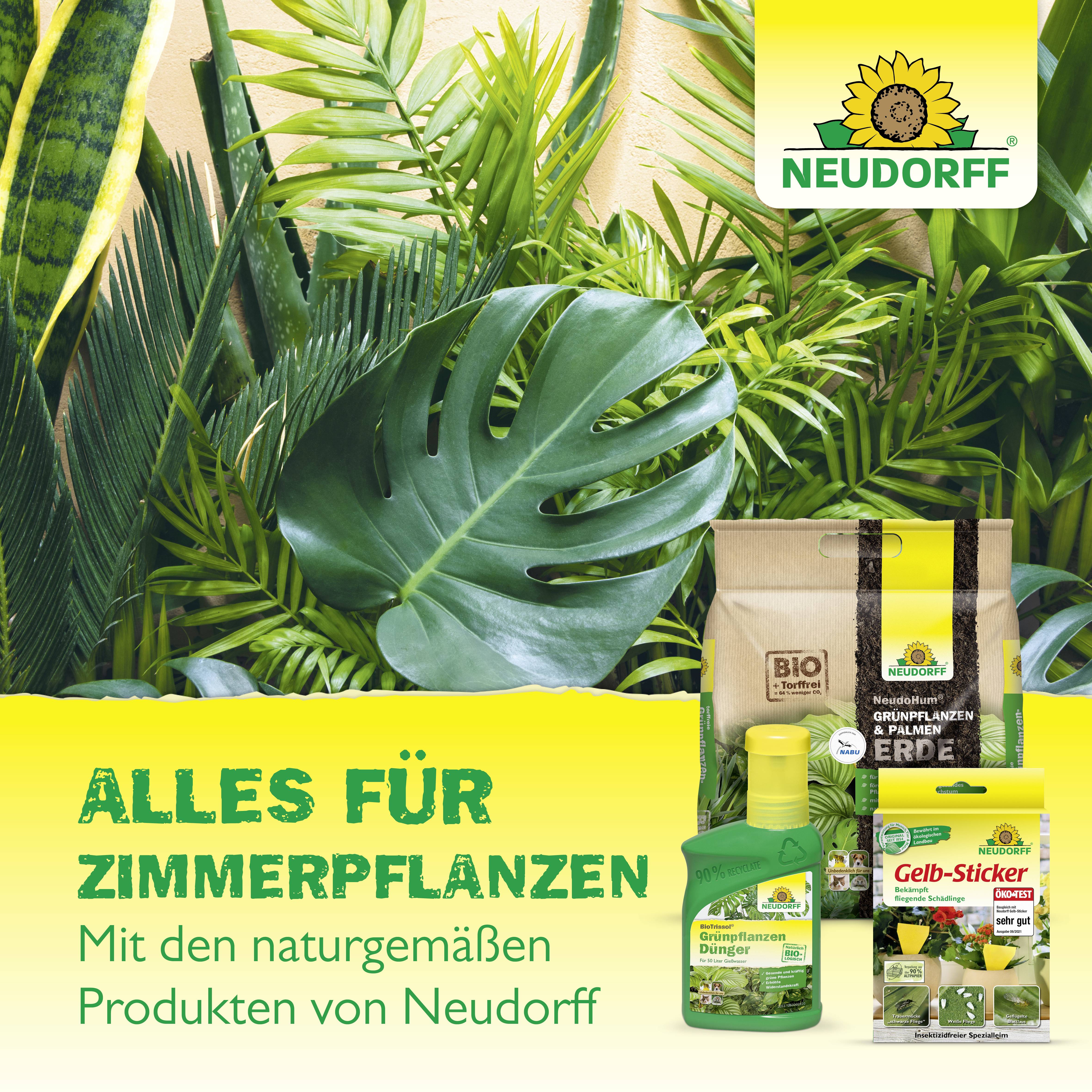 Neudorff 01345 Spruzit Trauermückenfrei 30ml