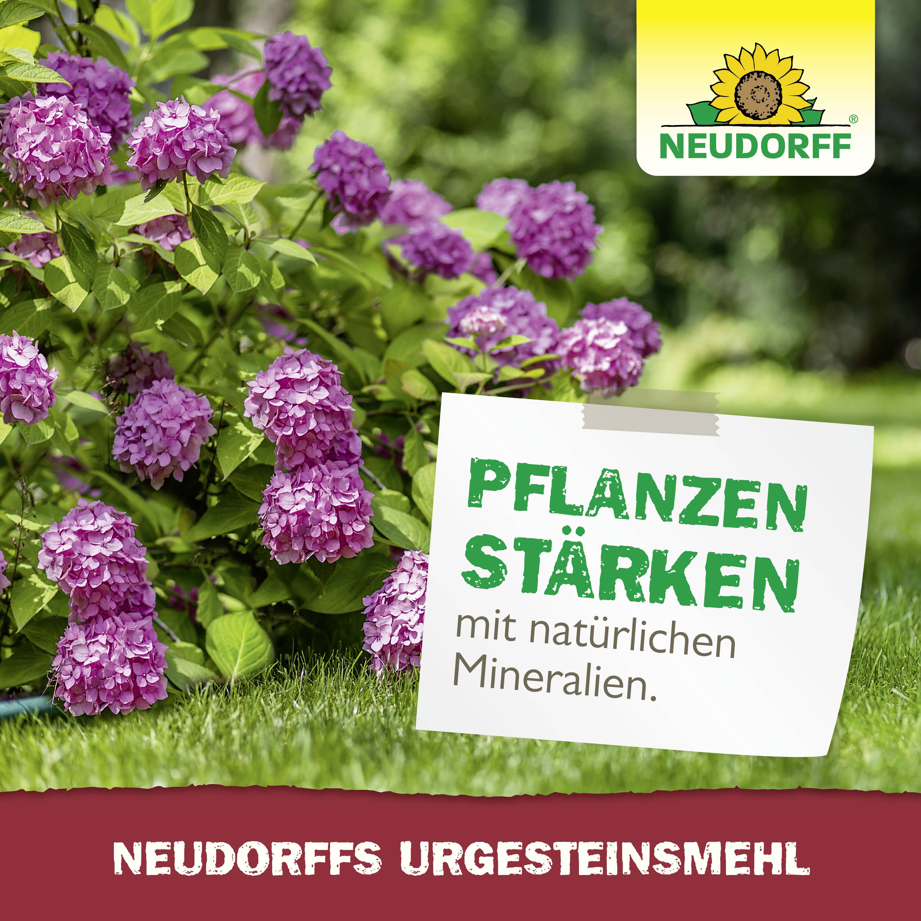 Neudorff 00151 Neudorffs UrgesteinsMehl 10kg