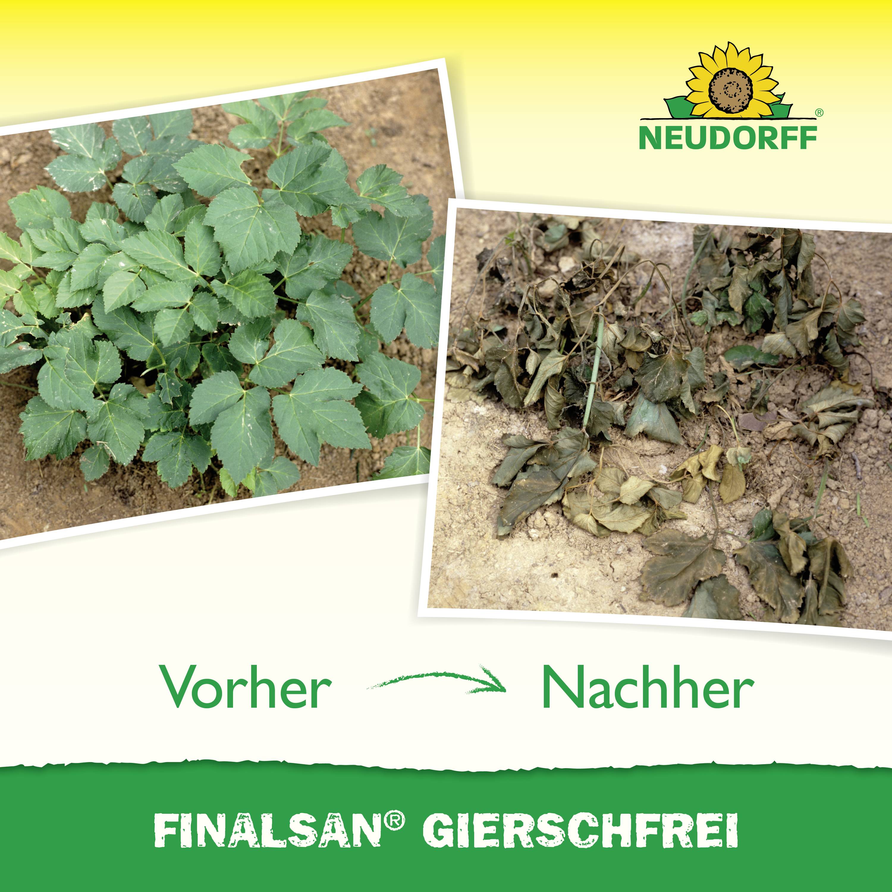 Neudorff 00493 Finalsan Gierschfrei 1l