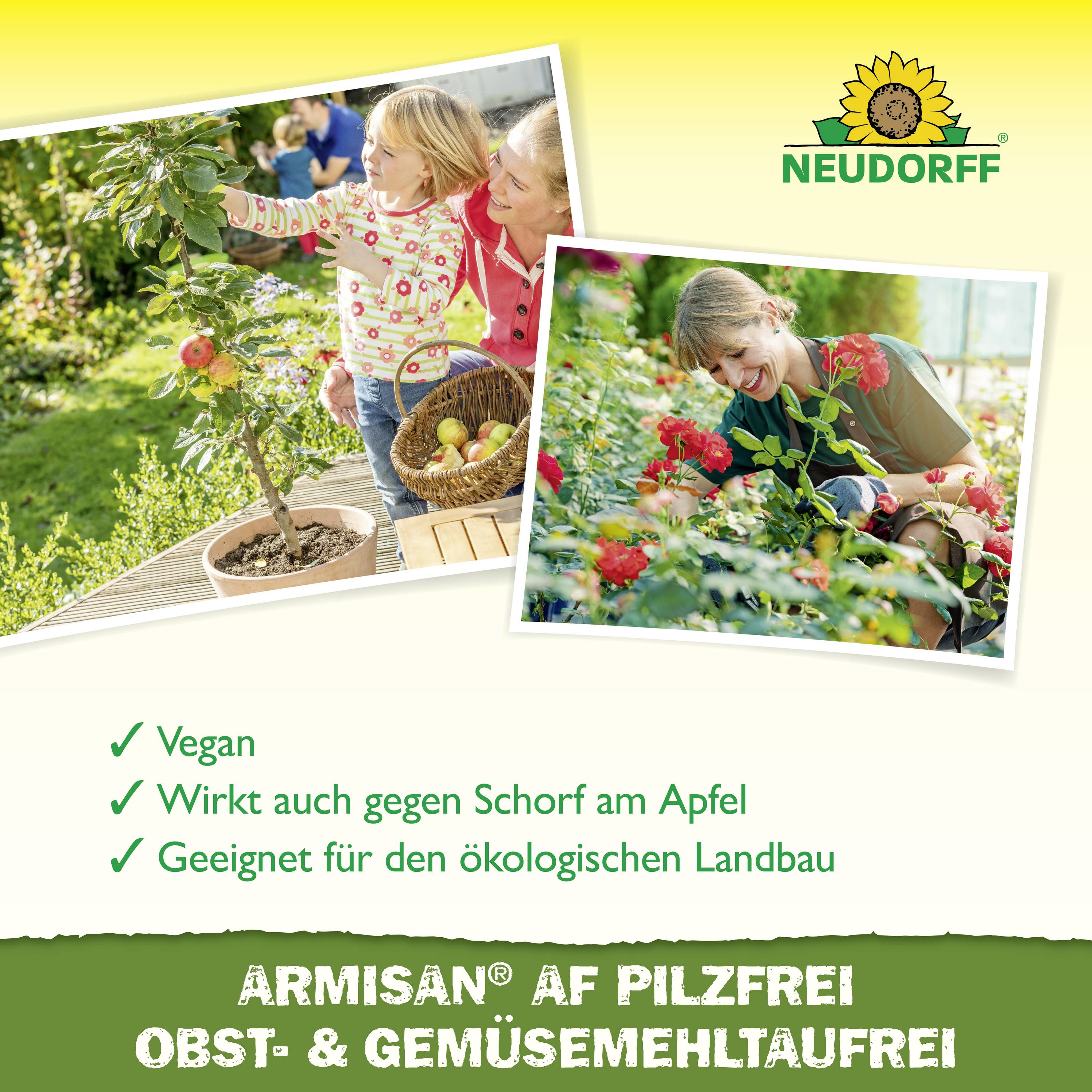 Neudorff 01297 Armisan AF PilzFrei Obst- und GemüseMehltauFrei 500ml
