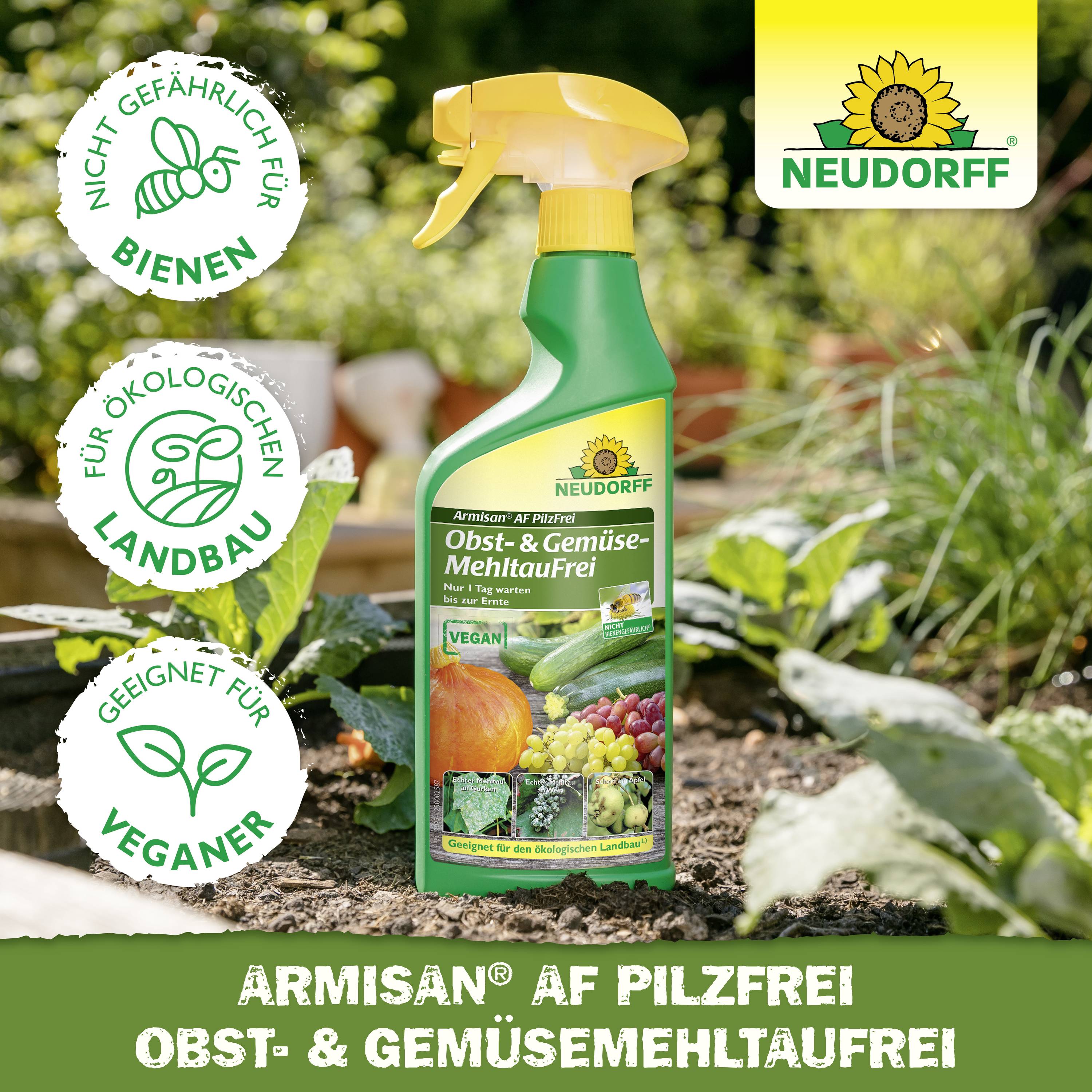 Neudorff 01297 Armisan AF PilzFrei Obst- und GemüseMehltauFrei 500ml