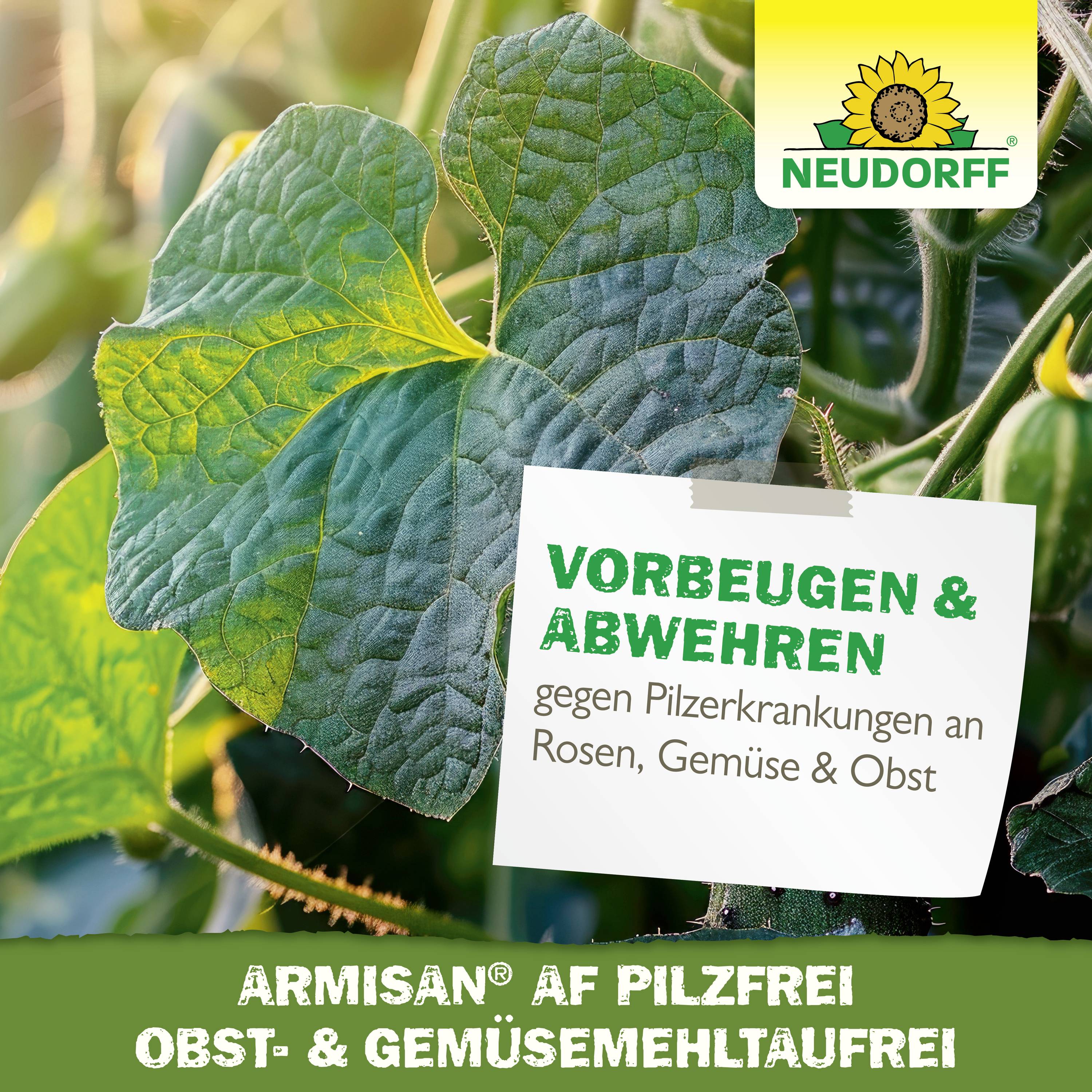 Neudorff 01297 Armisan AF PilzFrei Obst- und GemüseMehltauFrei 500ml