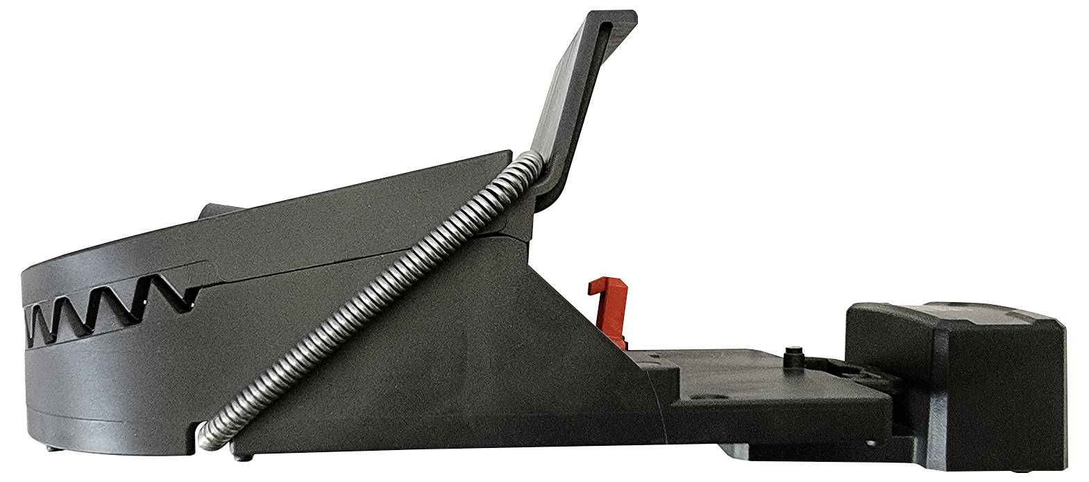 Kunststoff-Vogelabwehrstacheln in einem dreieckigen, nach oben weisenden Muster angeordnet, um zu verhindern, dass Vögel auf Oberflächen landen.