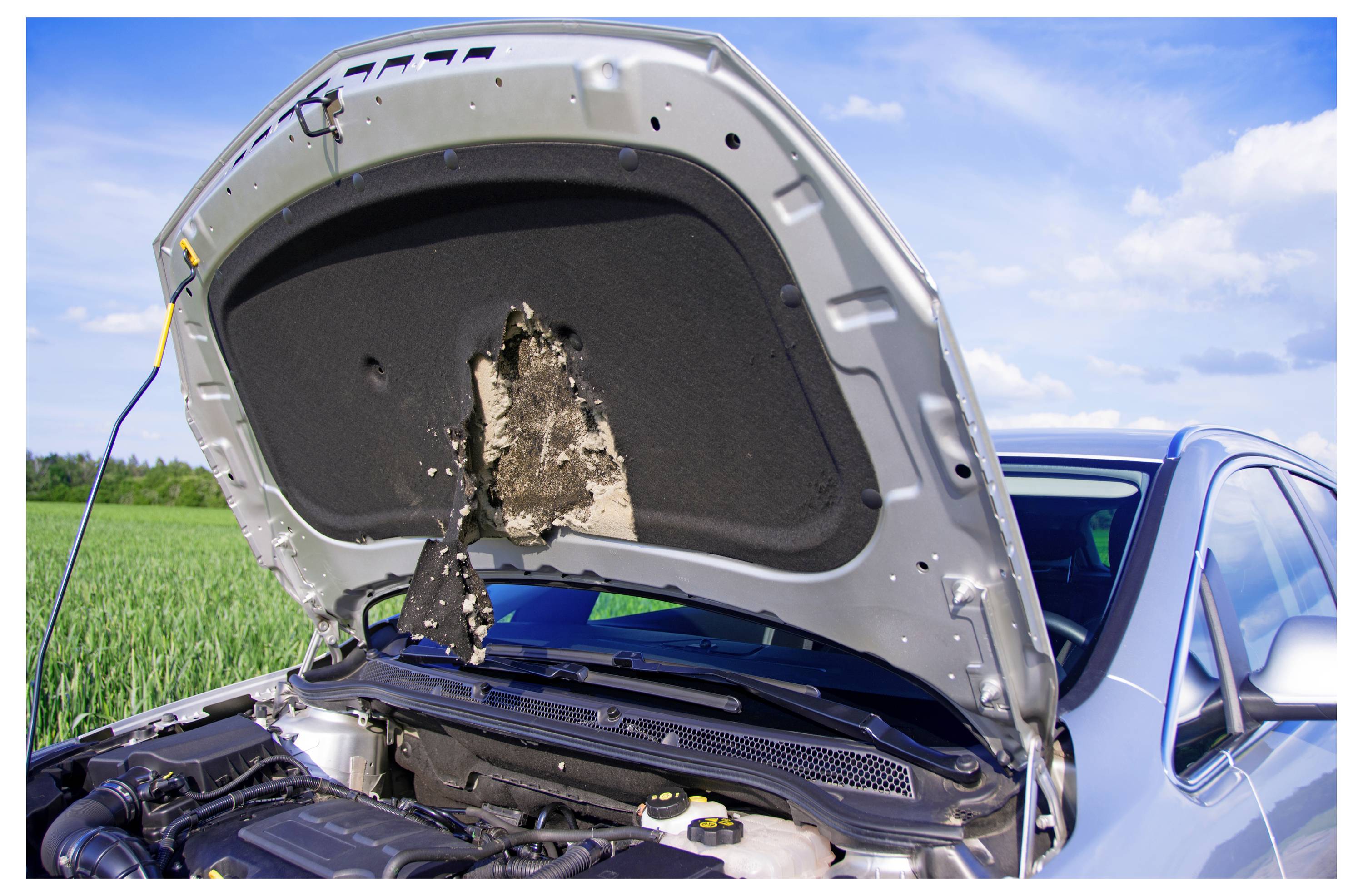 Das Bild zeigt ein Auto mit offener Motorhaube, die Schäden an der Dämmung unter der Haube freilegt. Das Auto ist an einem klaren Tag in einer Rasenfläche geparkt.