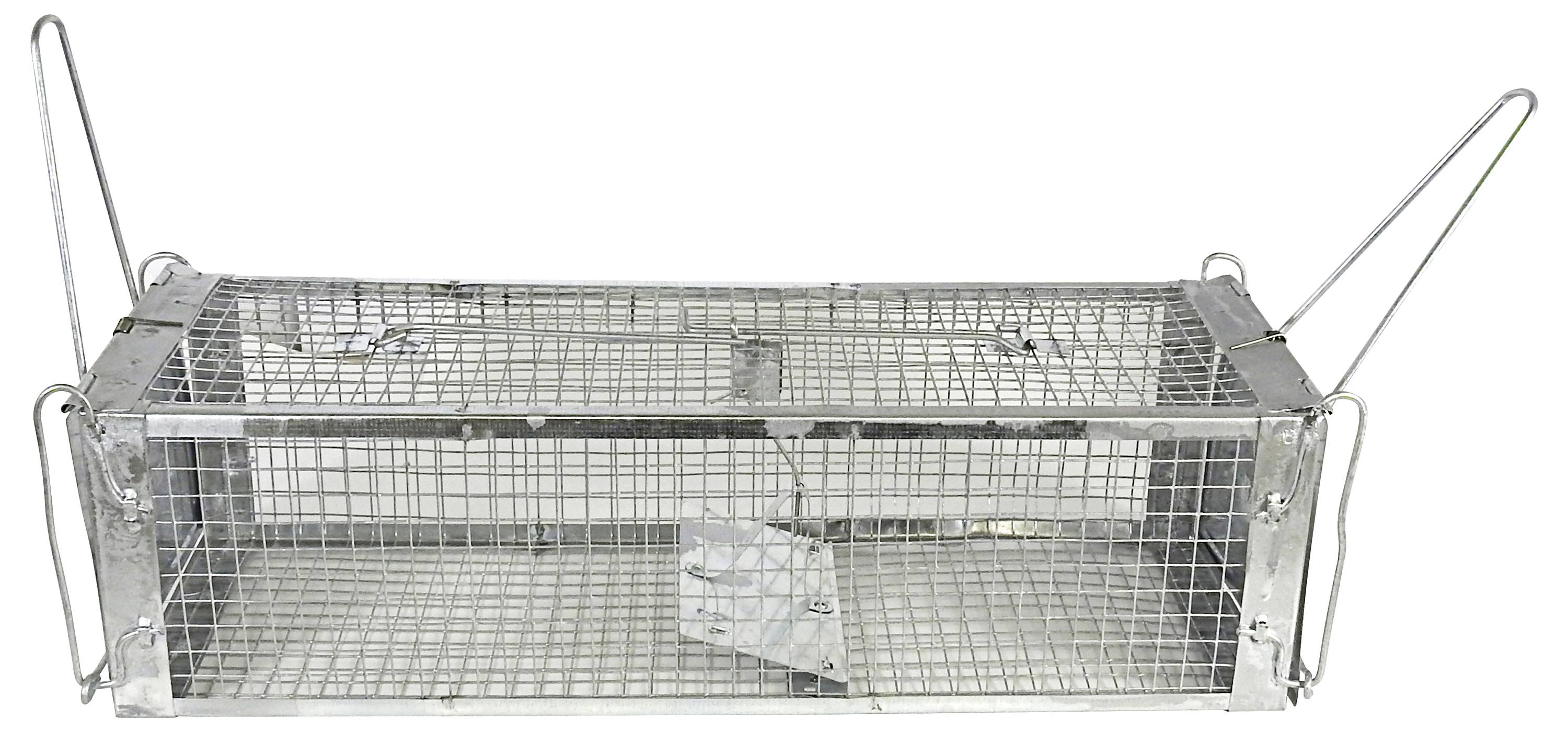 Swissinno Maus- und Rattenkäfig Pro Lebendfalle 1 St.