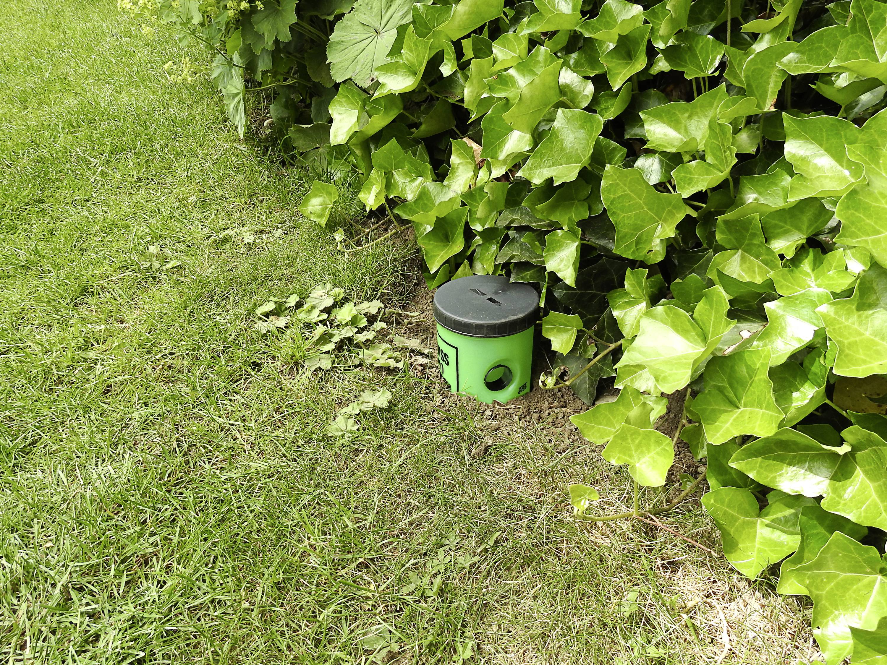 Swissinno Schneckenfalle Schneckenfalle Funktionsart Lockstoff 1St.