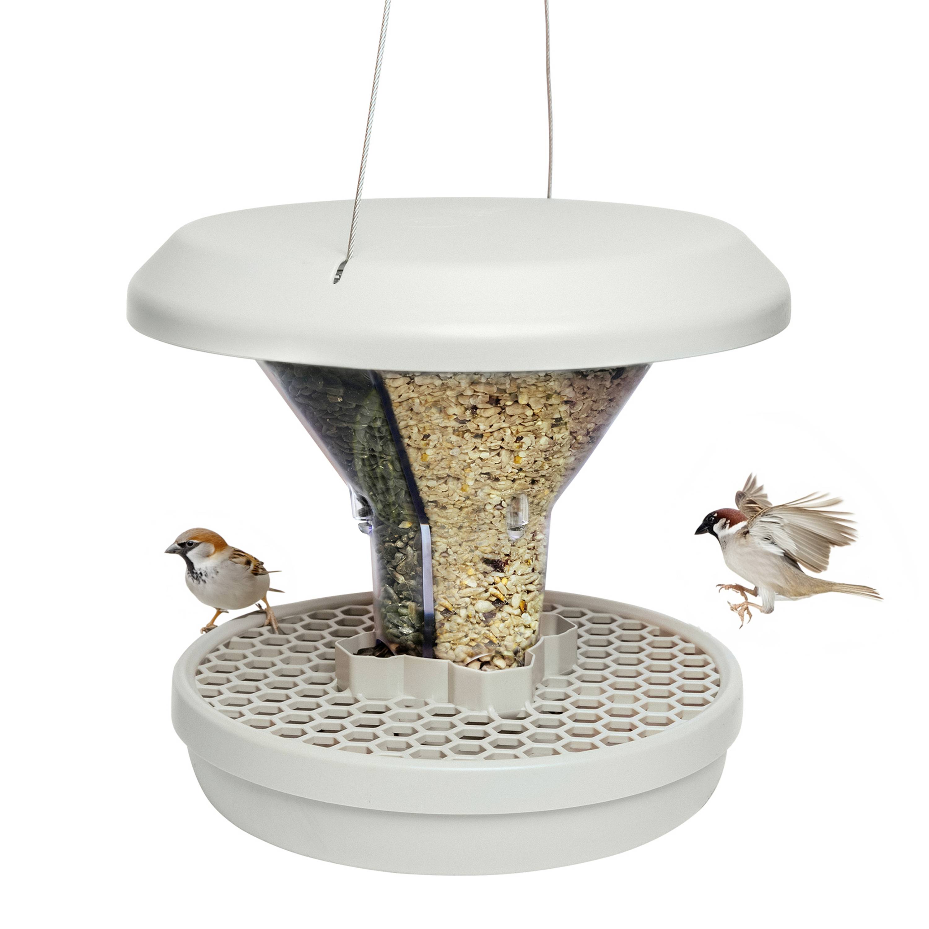 Swissinno Futtersilo Davos Hellgrau 750 g Vogel Hellgrau 1 St. 1 820 001