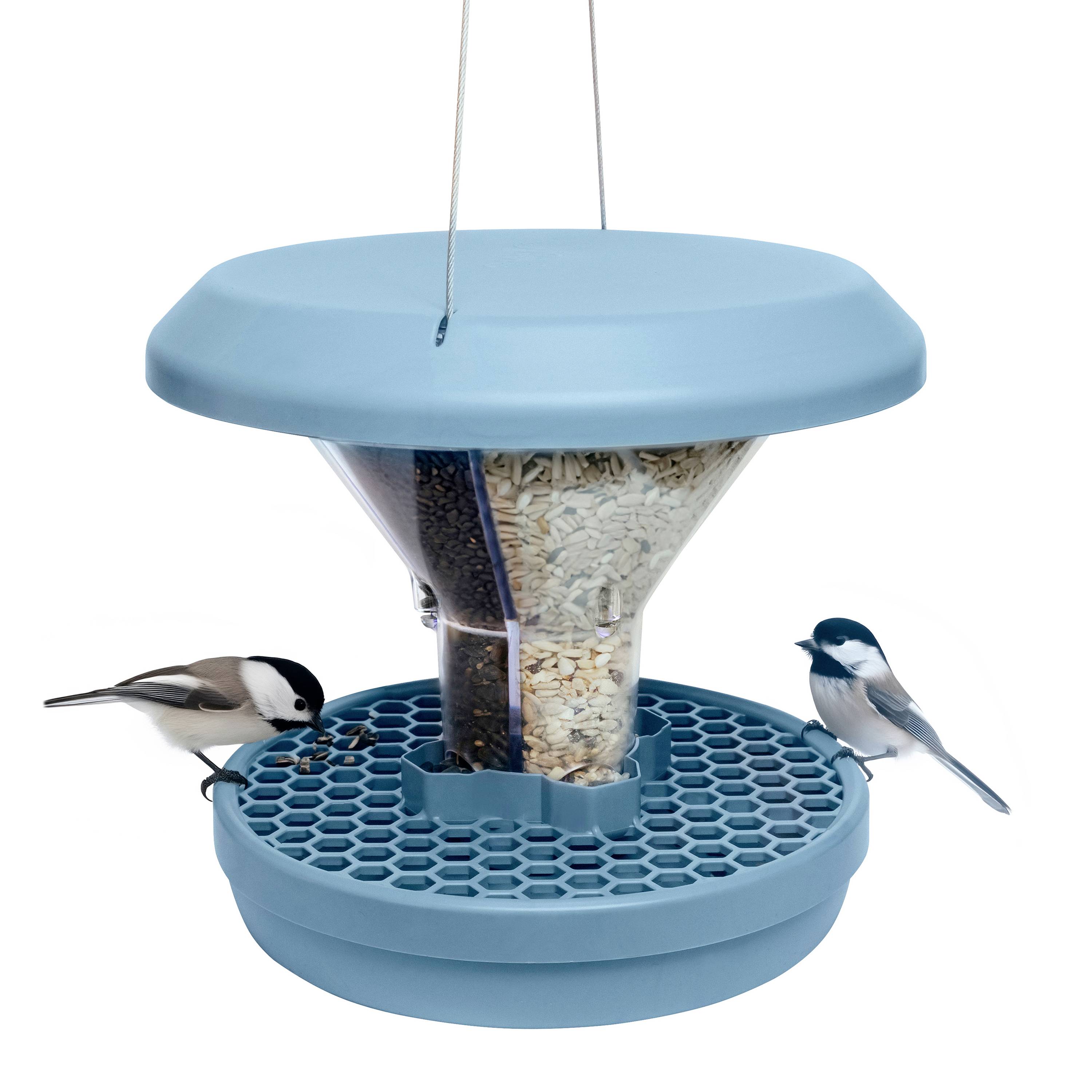 Swissinno Futtersilo Davos Hellblau 750g Vogel Hellblau 1 St. 1 840 001