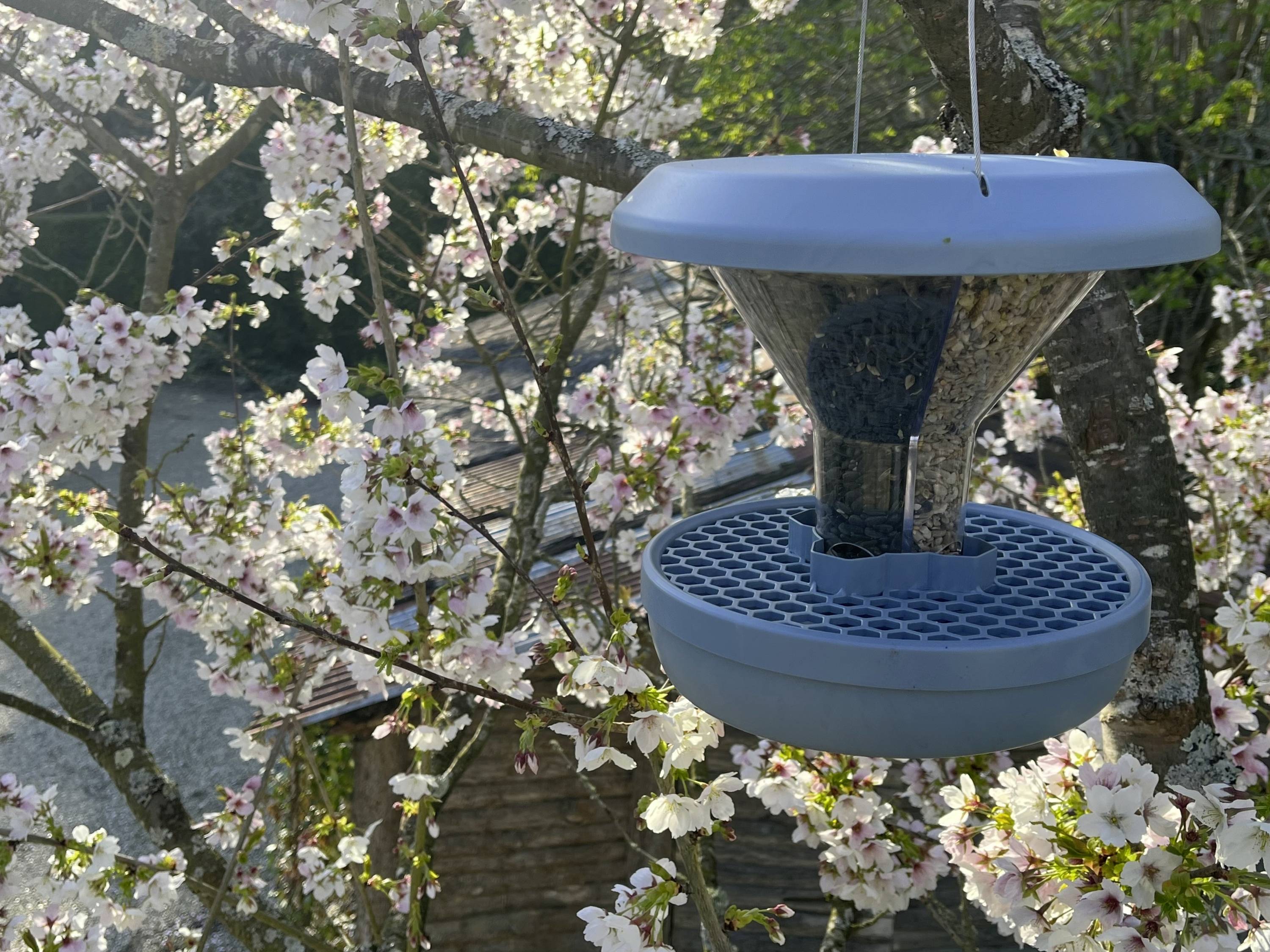 Swissinno Futtersilo Davos Hellblau 750g Vogel Hellblau 1 St. 1 840 001