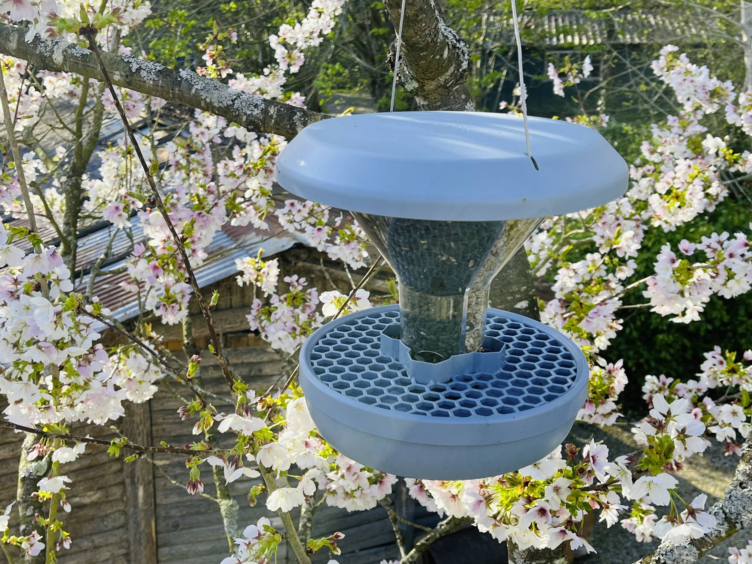 Swissinno Futtersilo Davos Hellblau 750g Vogel Hellblau 1 St. 1 840 001