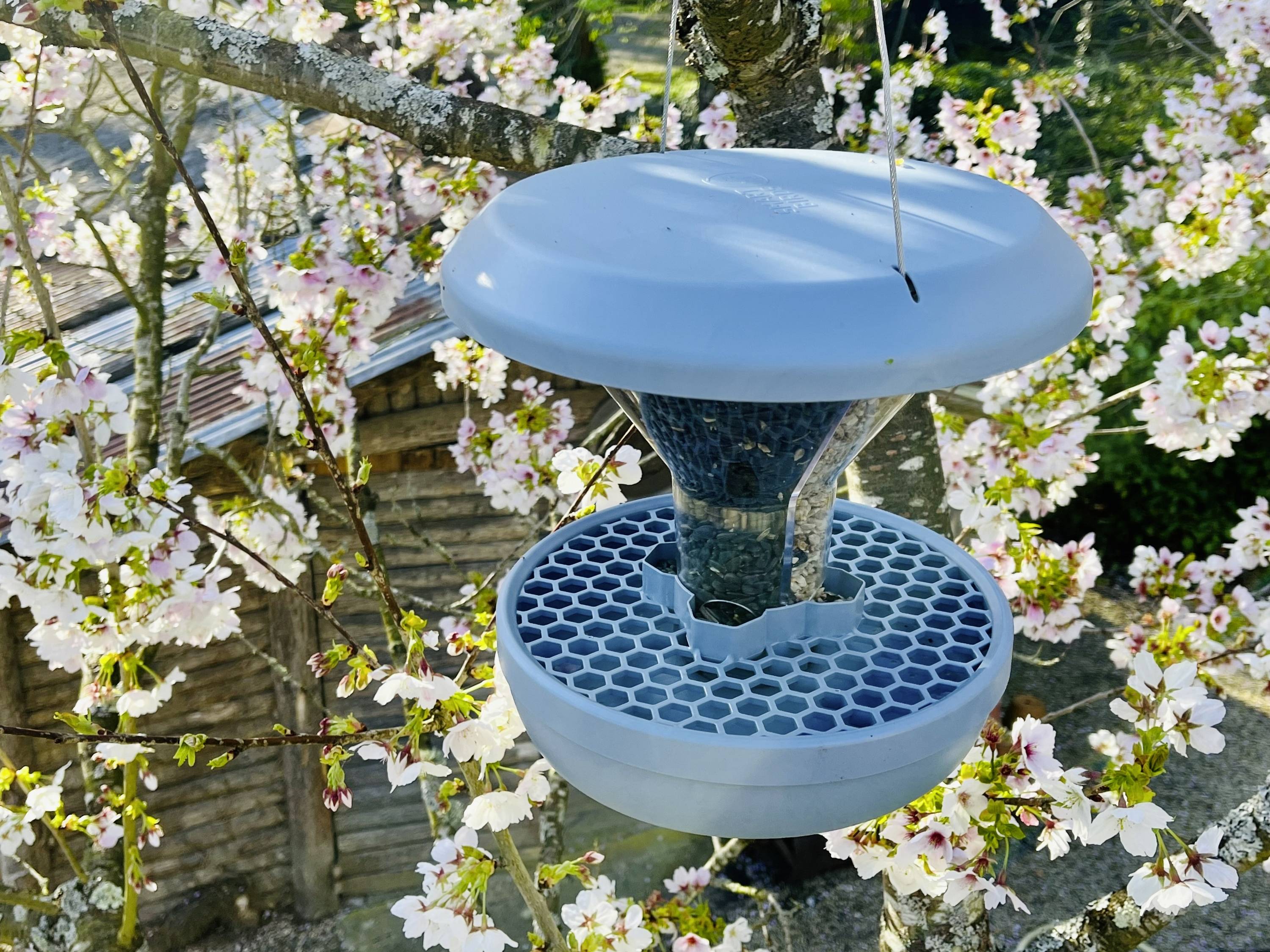 Swissinno Futtersilo Davos Hellblau 750g Vogel Hellblau 1 St. 1 840 001