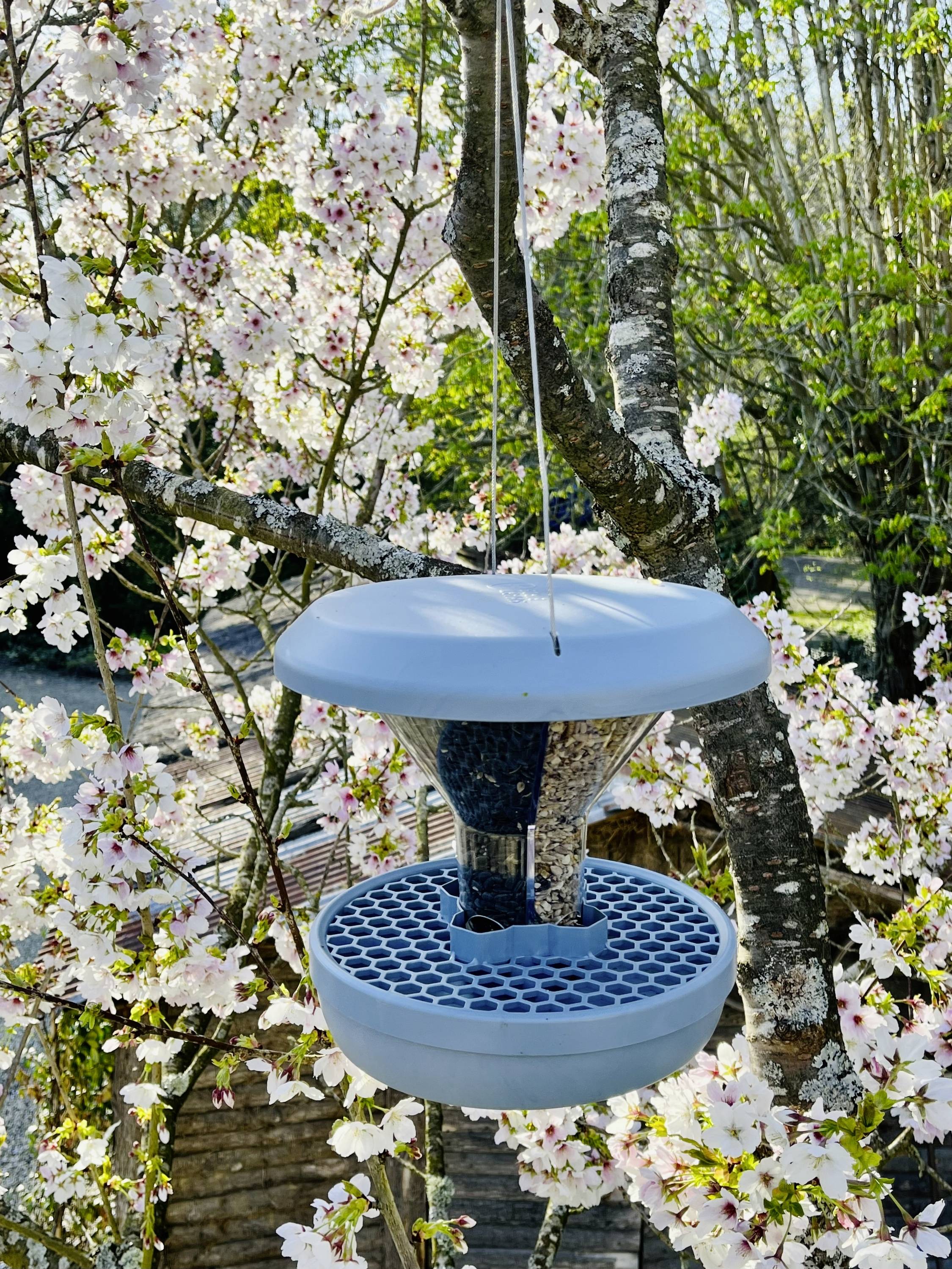 Swissinno Futtersilo Davos Hellblau 750g Vogel Hellblau 1 St. 1 840 001