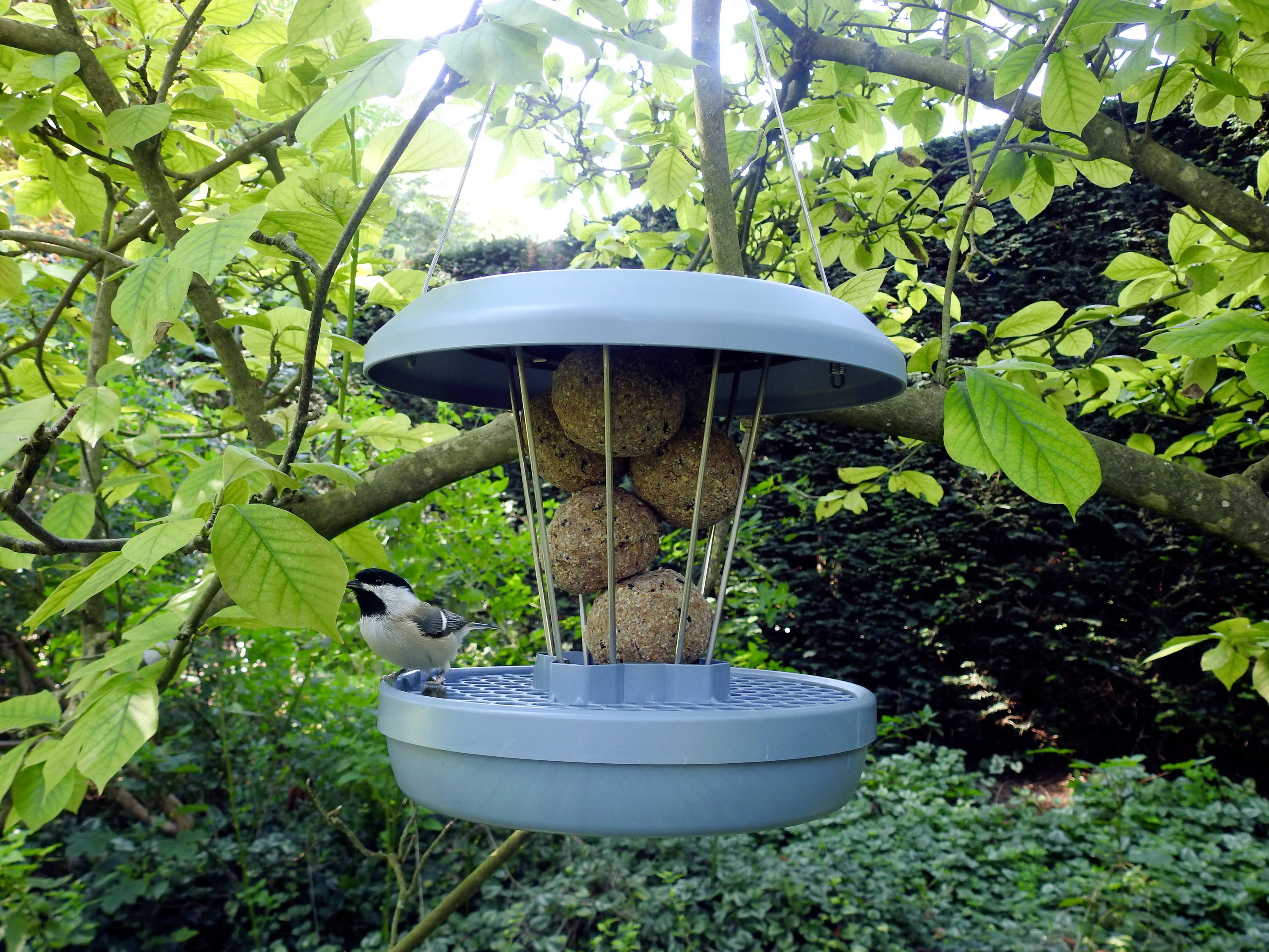 Swissinno Futtersilo Lucerne hellblau für Maisenknödel 700g Vogel Hellblau 1 St. 1 841 001