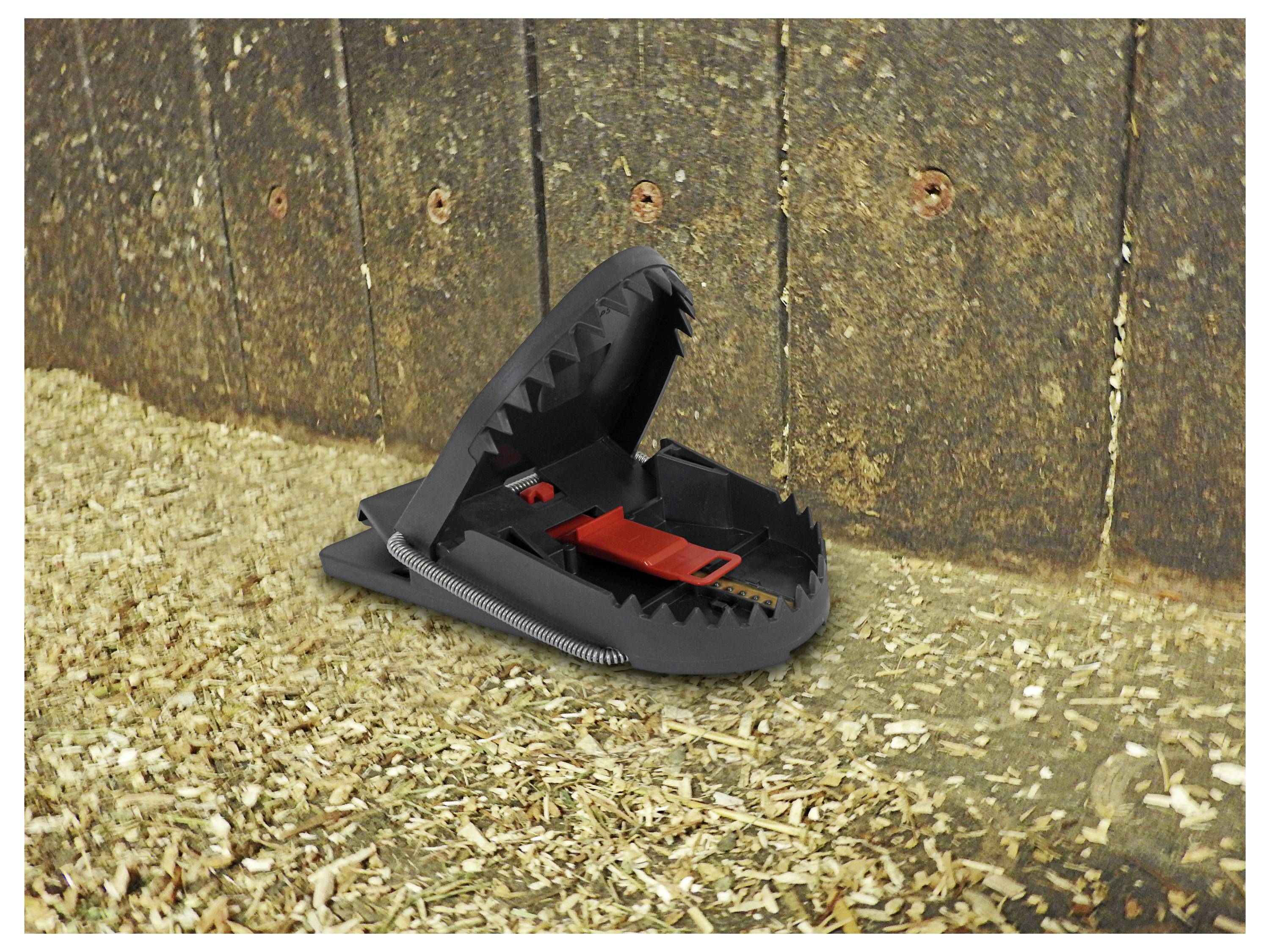 Swissinno SuperCat Rattenfalle Erdnussbutter-Köder 1St.