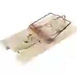 Swissinno Classic Rattenfalle 1St. Swissinno Classic Rattenfalle 1St.