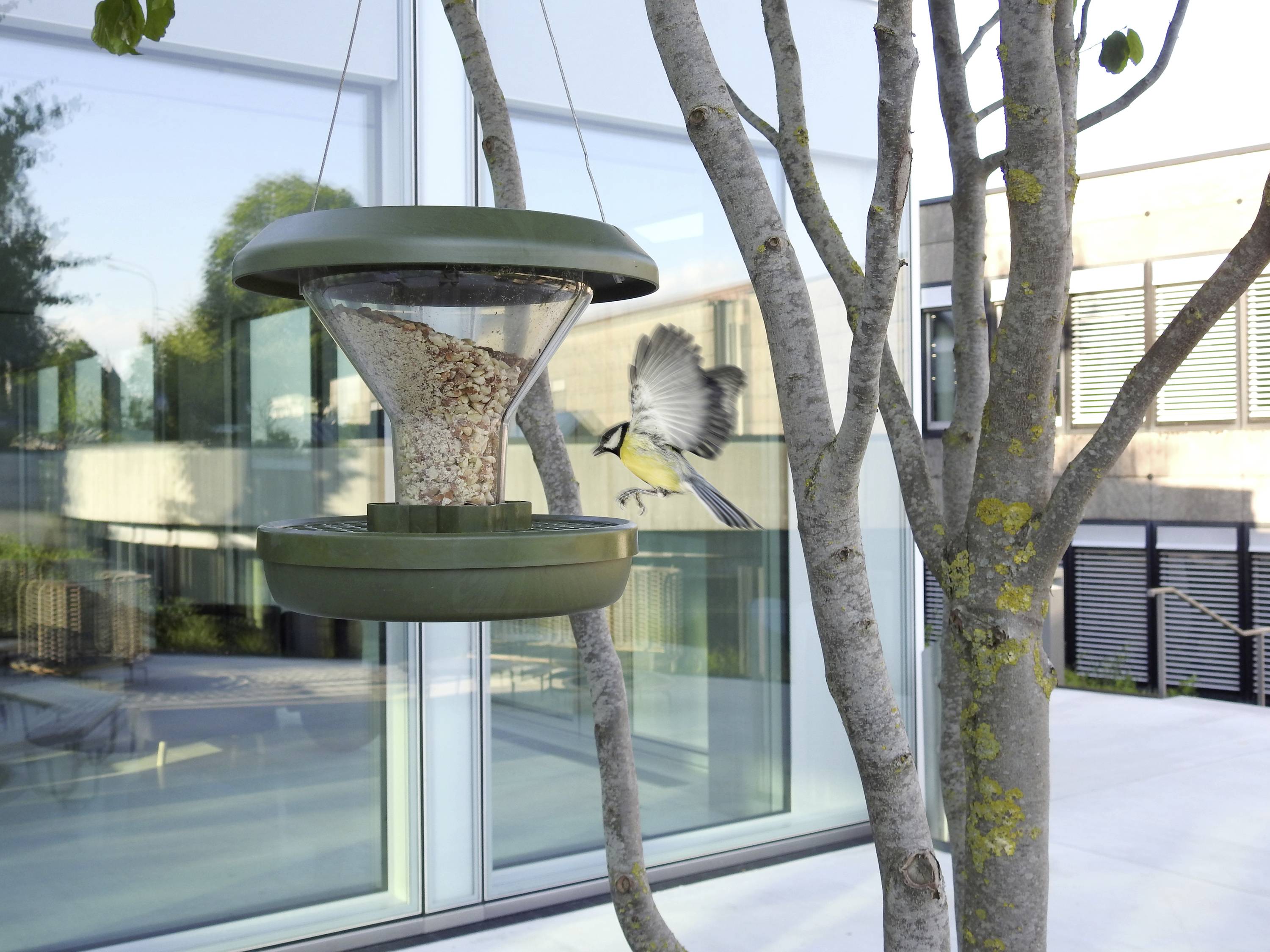 Swissinno Futtersilo Davos Dunkelgrün 750ml Vogel 1 St. 1 800 001